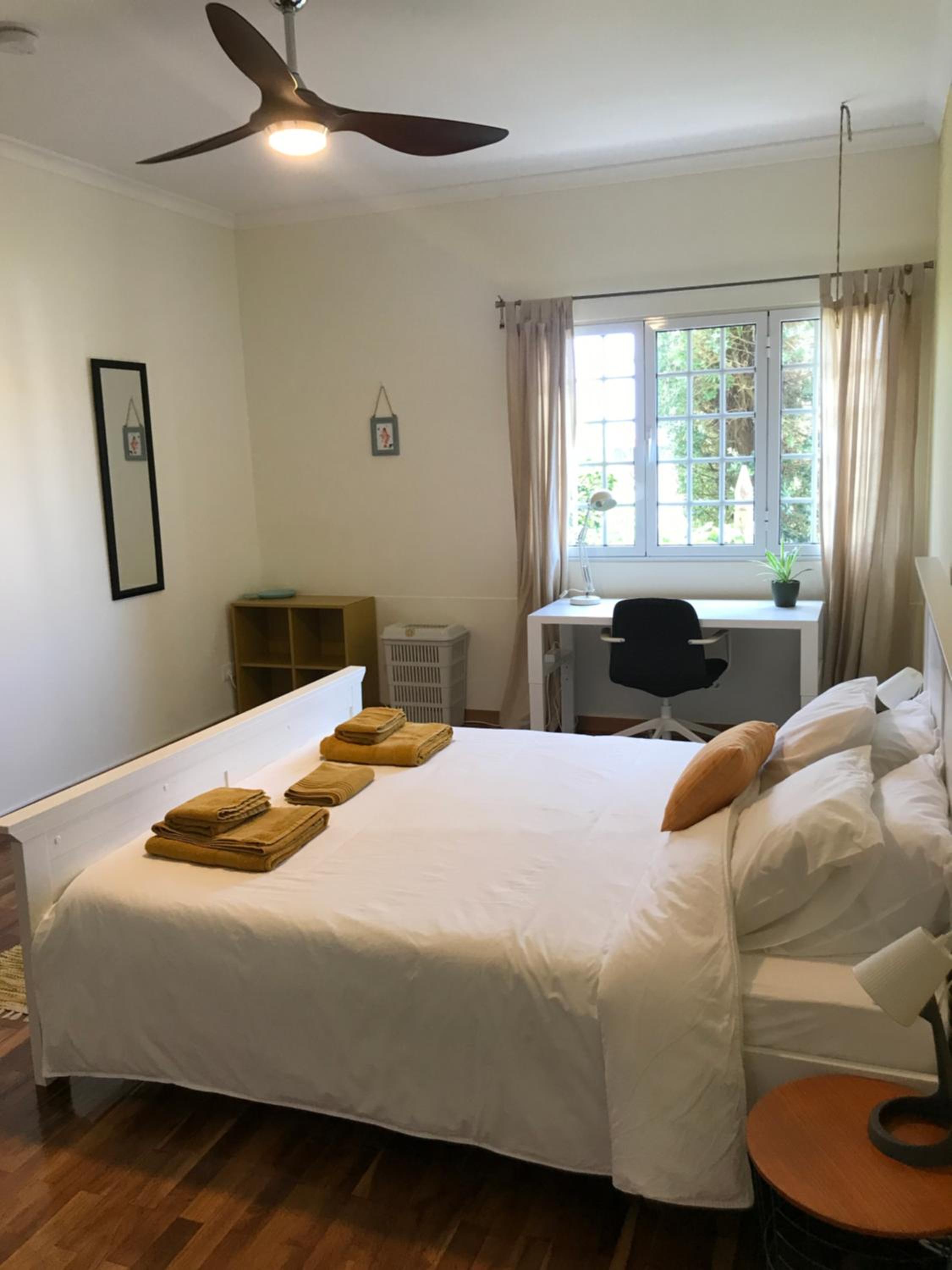 LAVA Açores Coliving