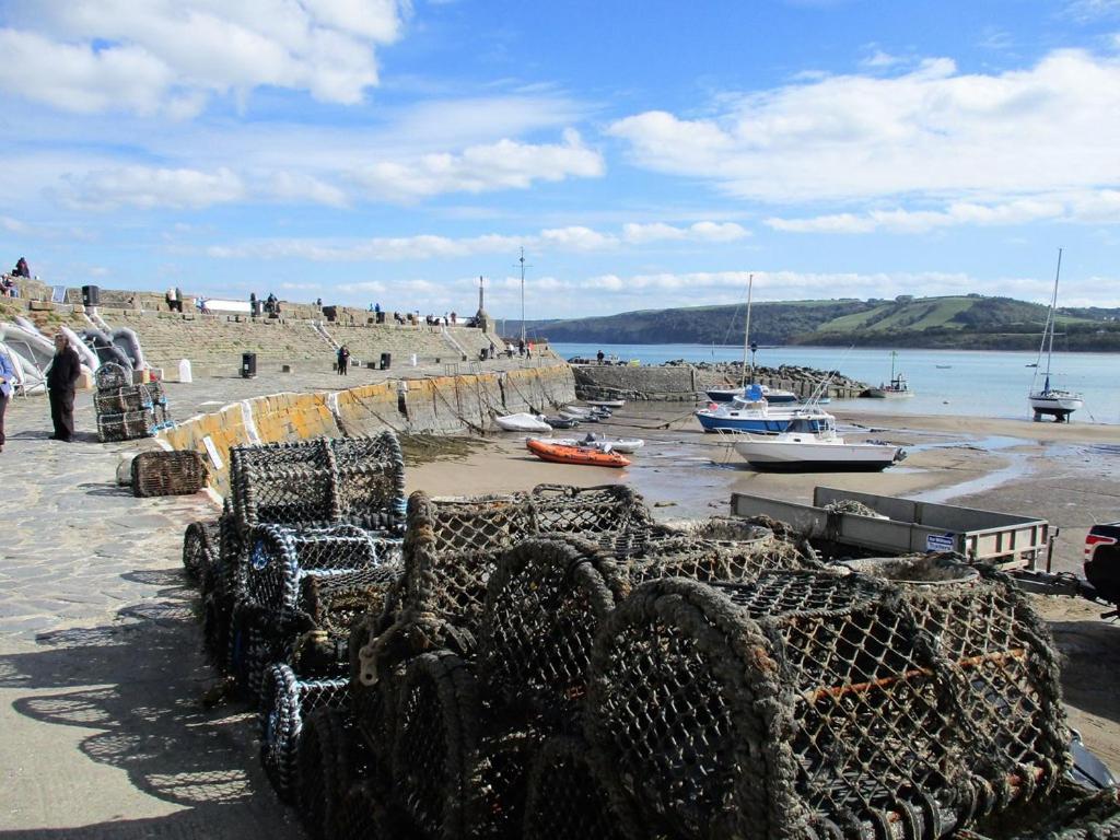 Ty Cerrig seaside Annexe, New Quay view 3