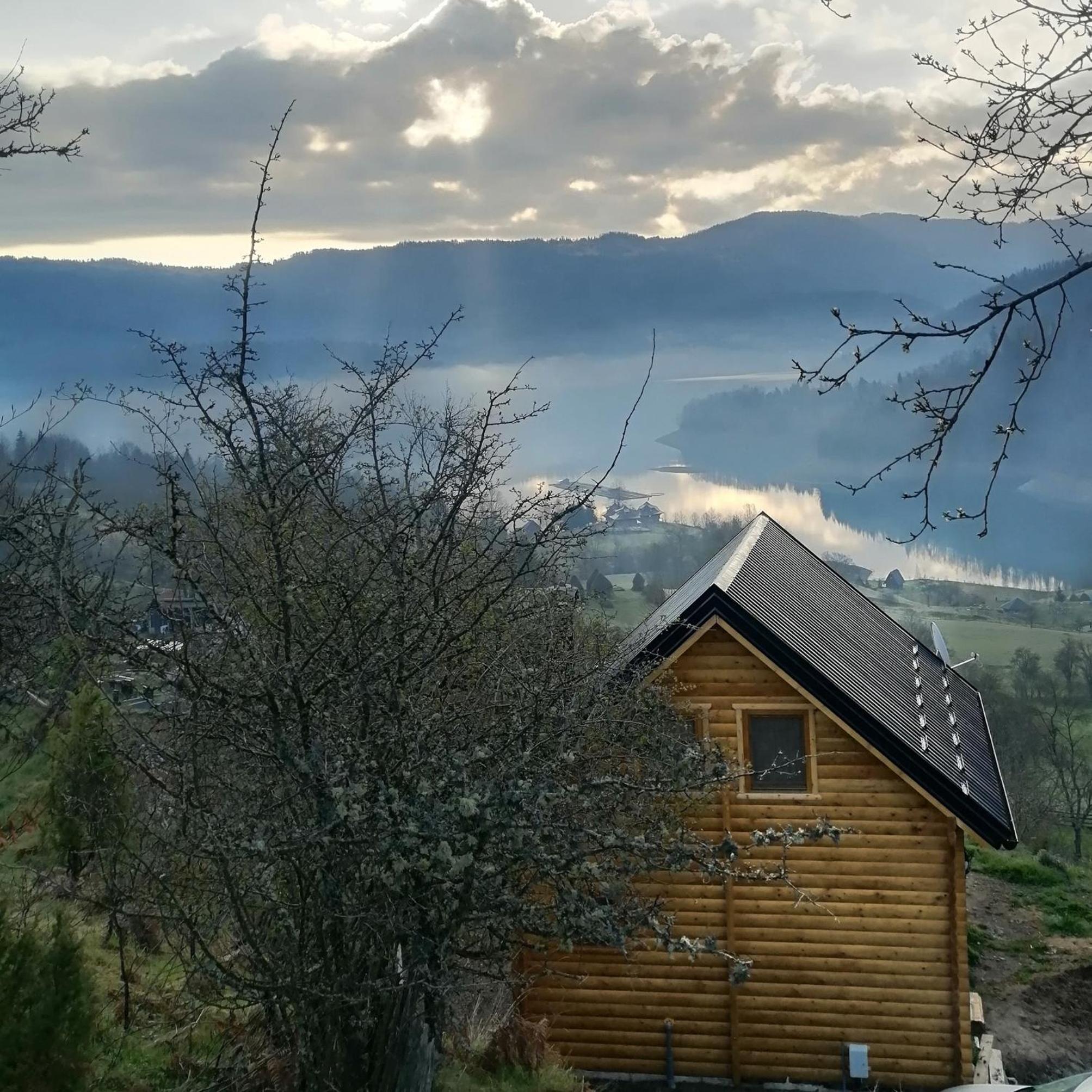 Photo 25