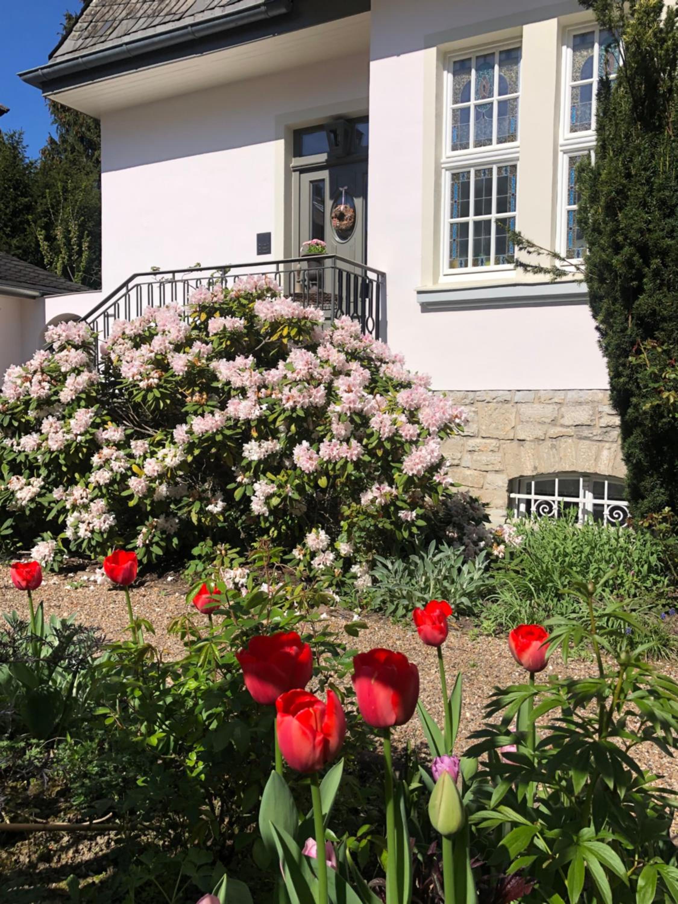 Villa Rosa - Garden