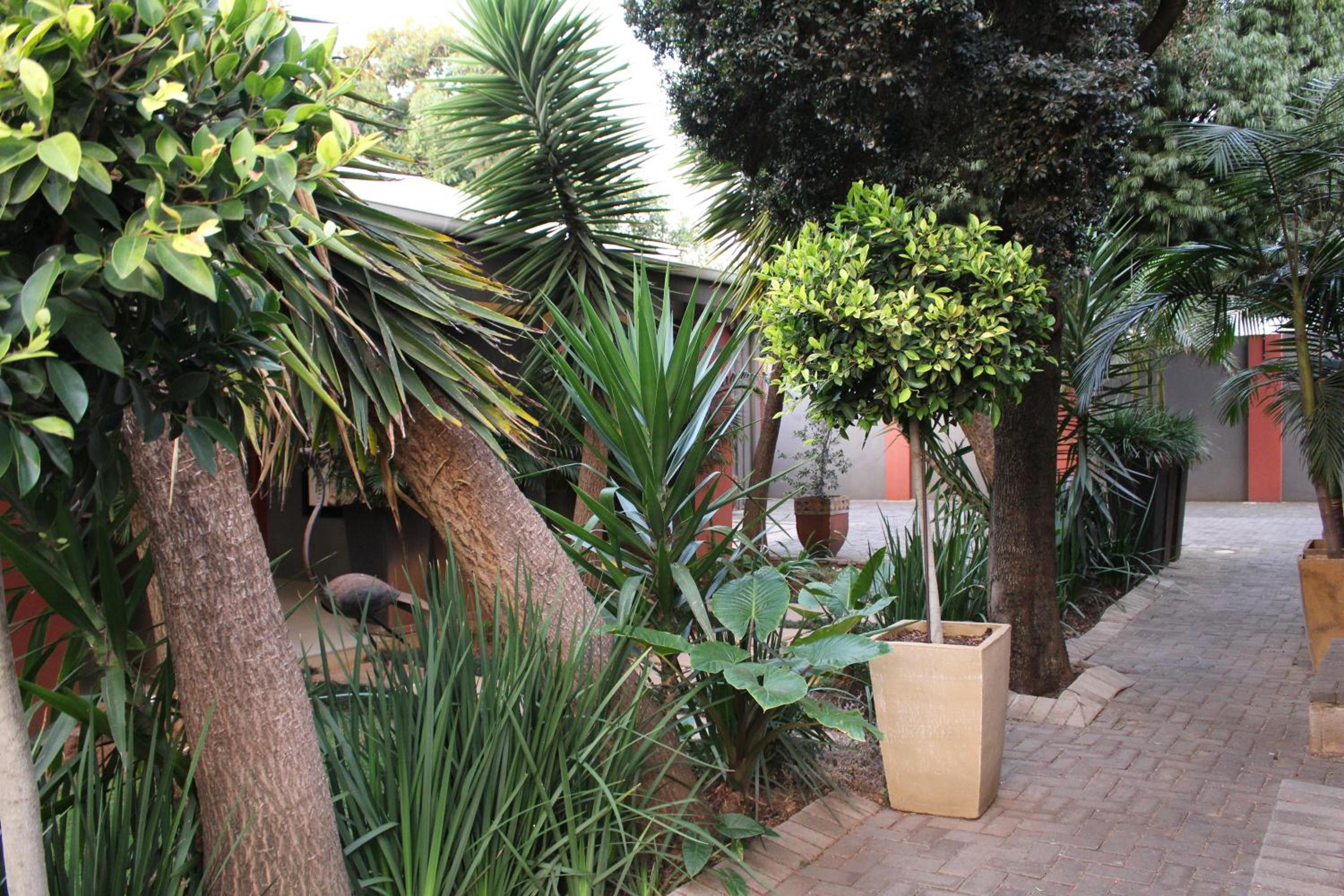 Saffron Guest House