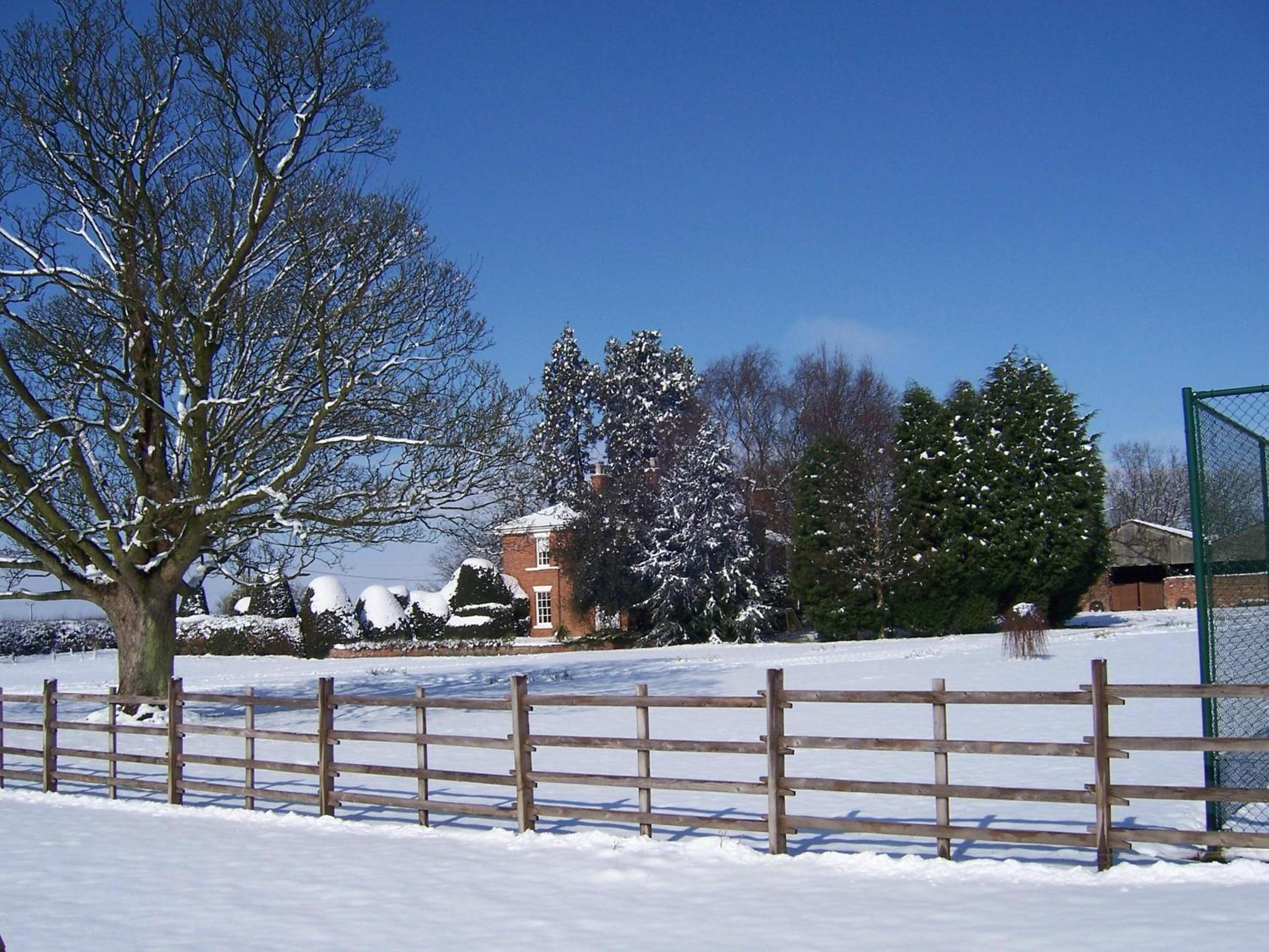 Photo 48
