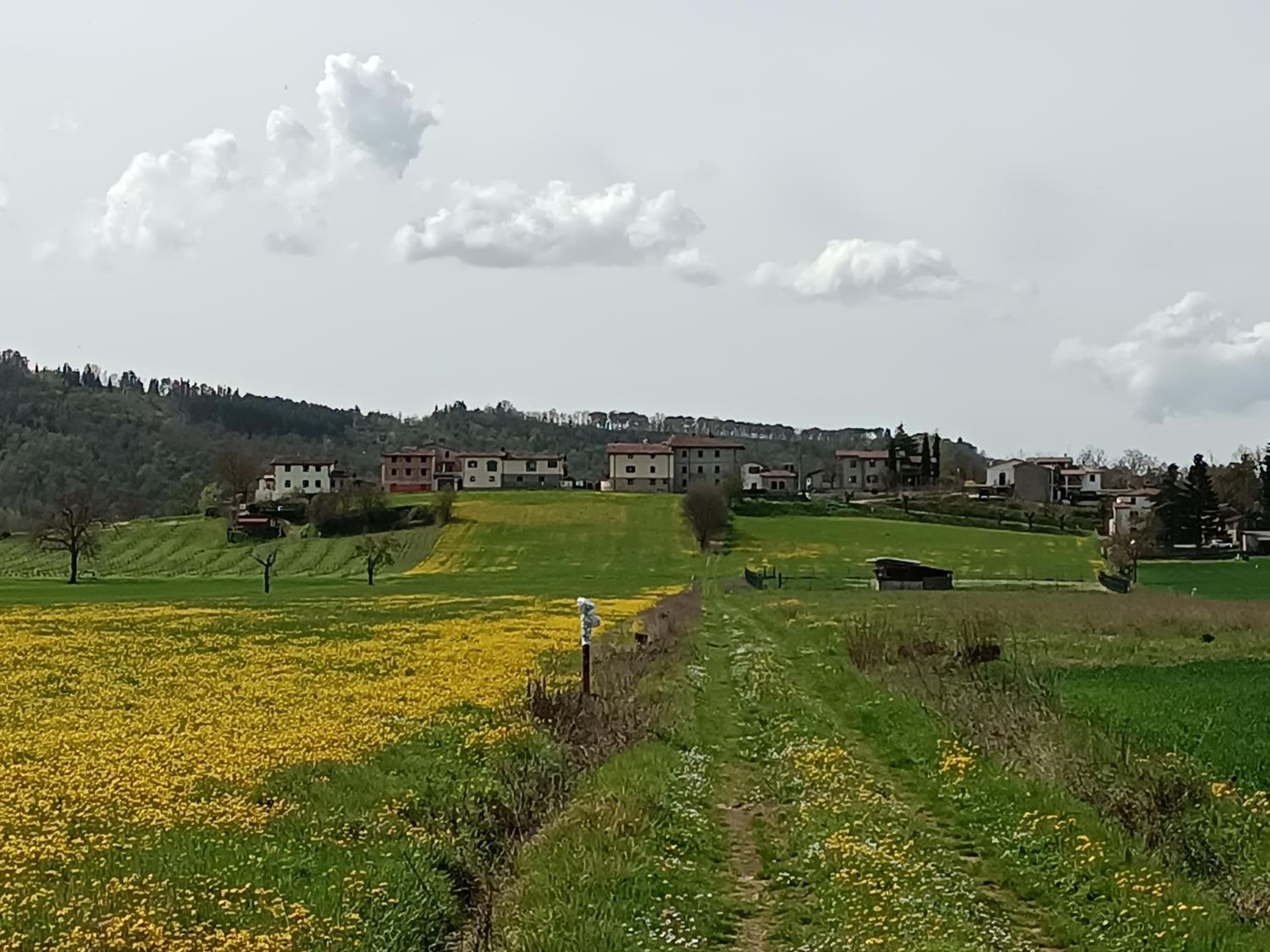 Podere Casenove