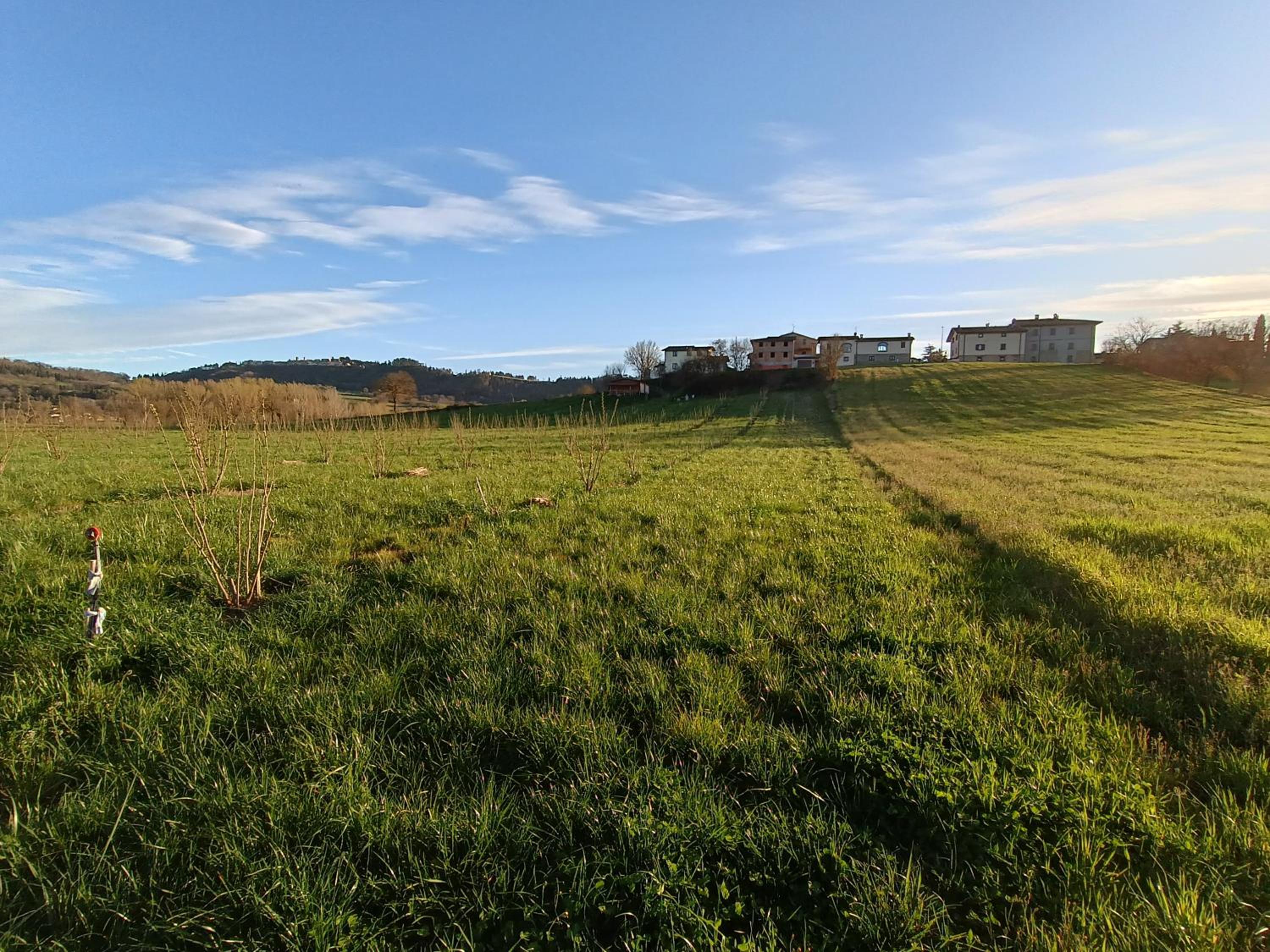 Podere Casenove