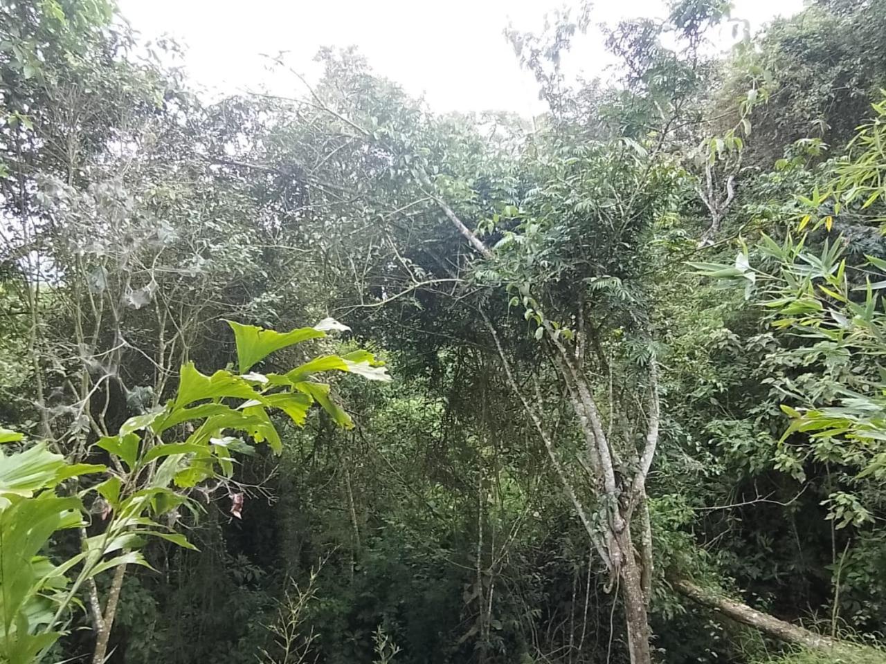 Finca Campestre Colibrí