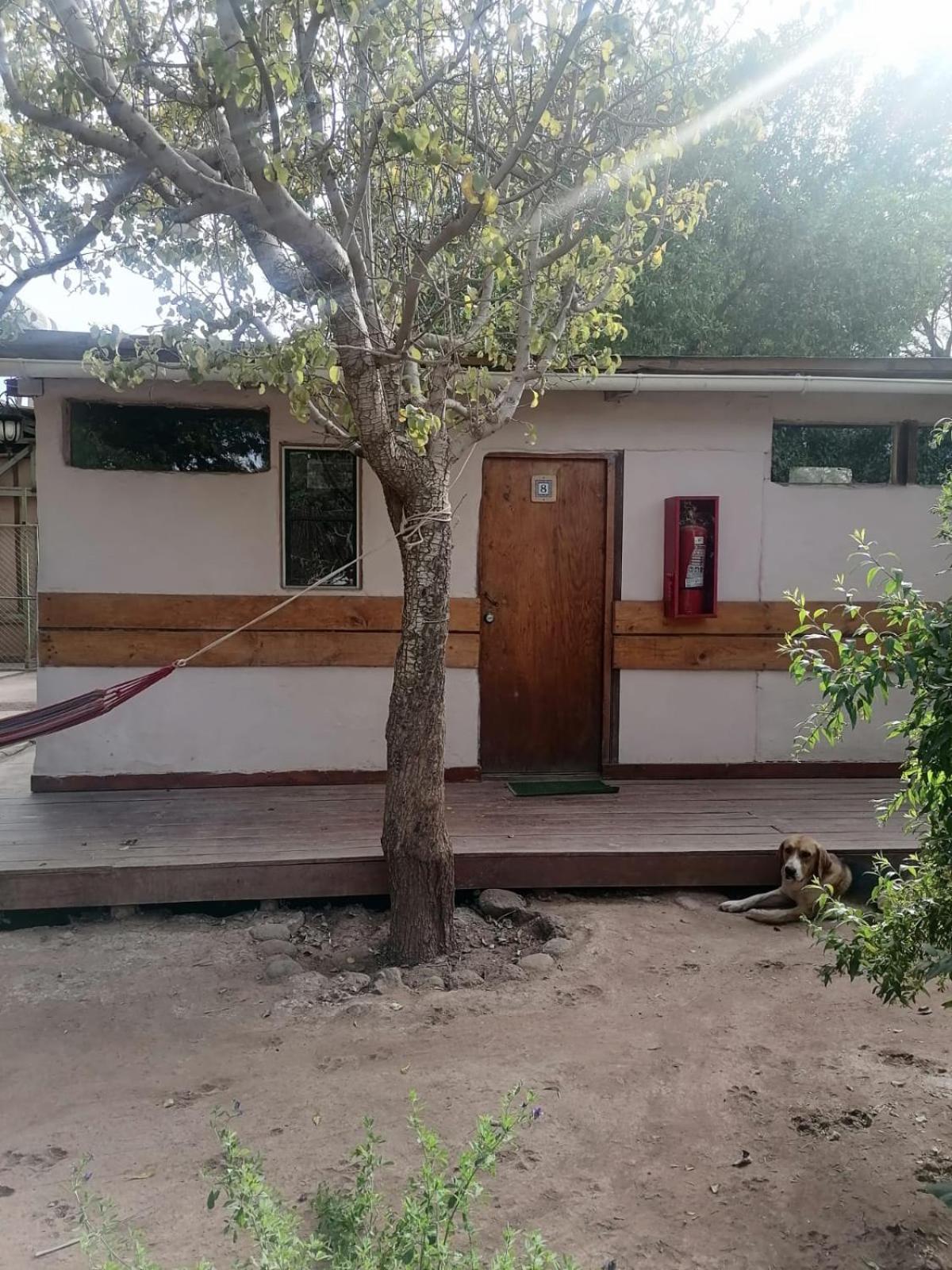 Hotel-Camping Takha Takha