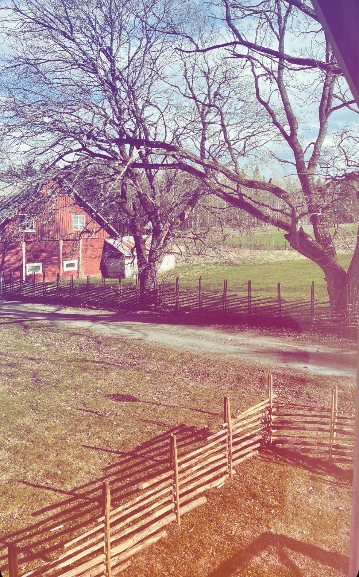 Ruth & Iris Farmhouse view 4