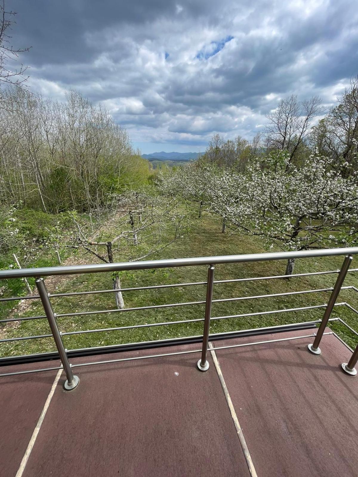 MELA