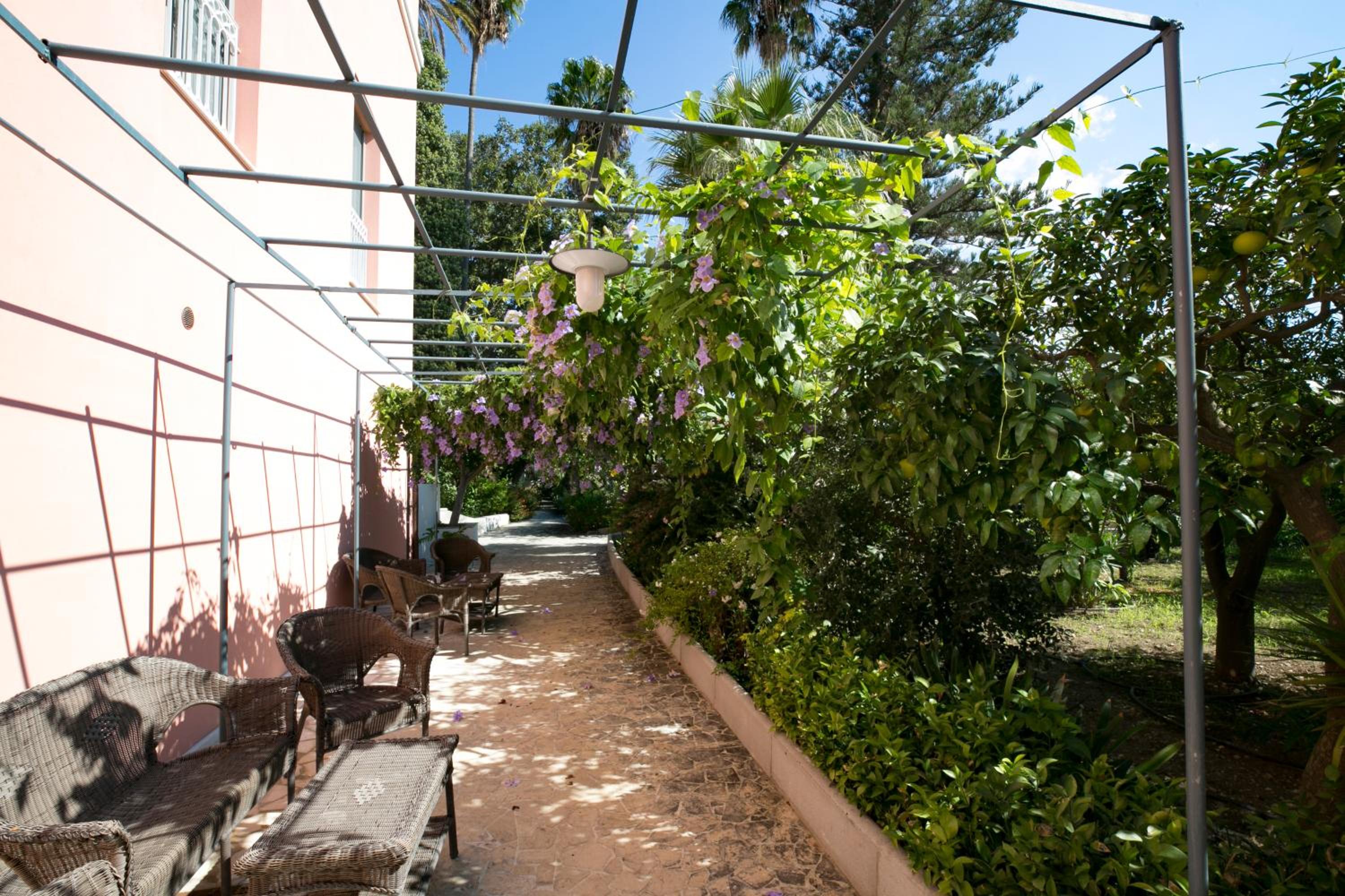 Photo 22