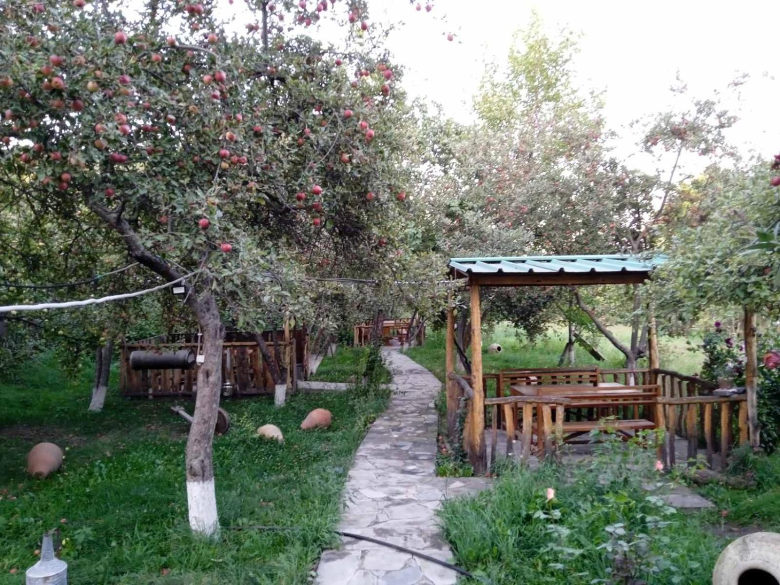 Mirage guesthouse