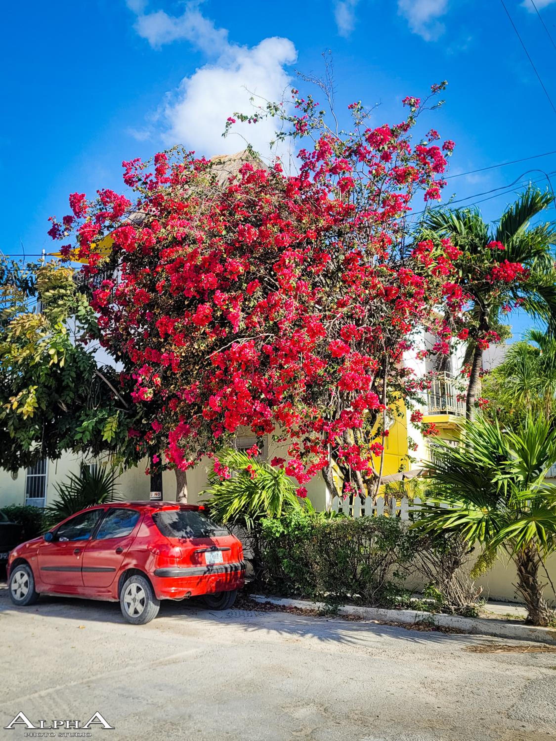 Tu Casa en el Caribe