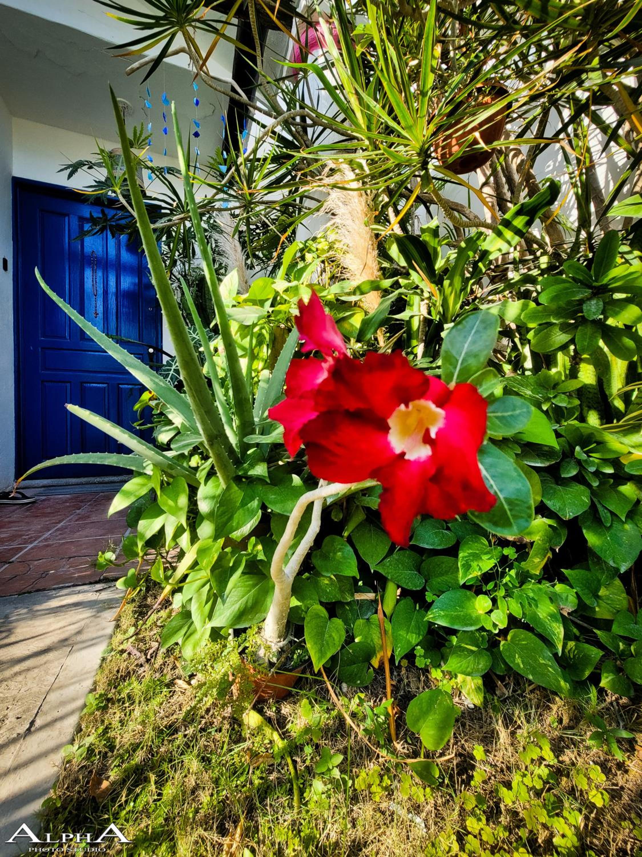 Tu Casa en el Caribe