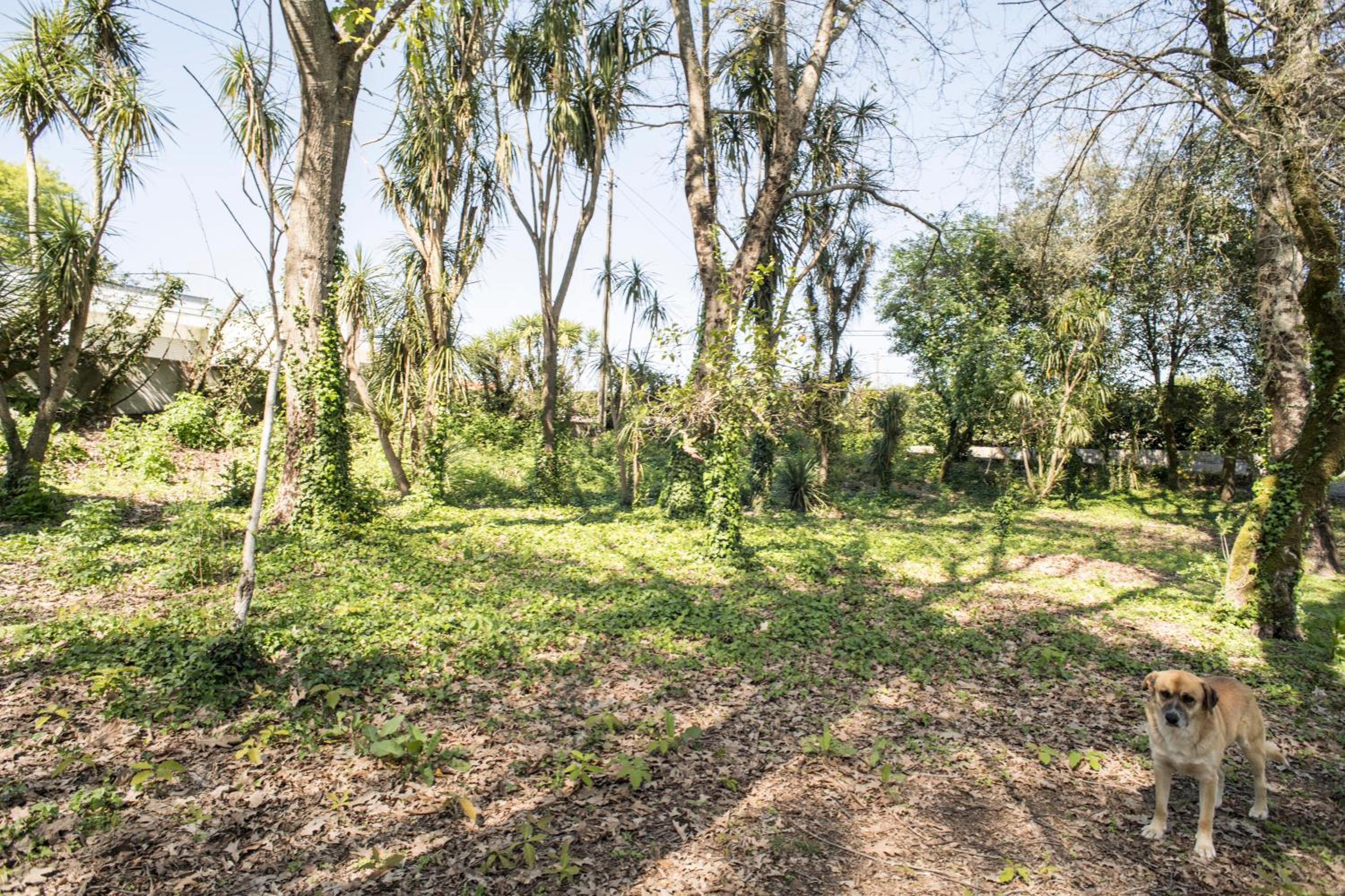 Quinta Do Pomar Pomar Farm