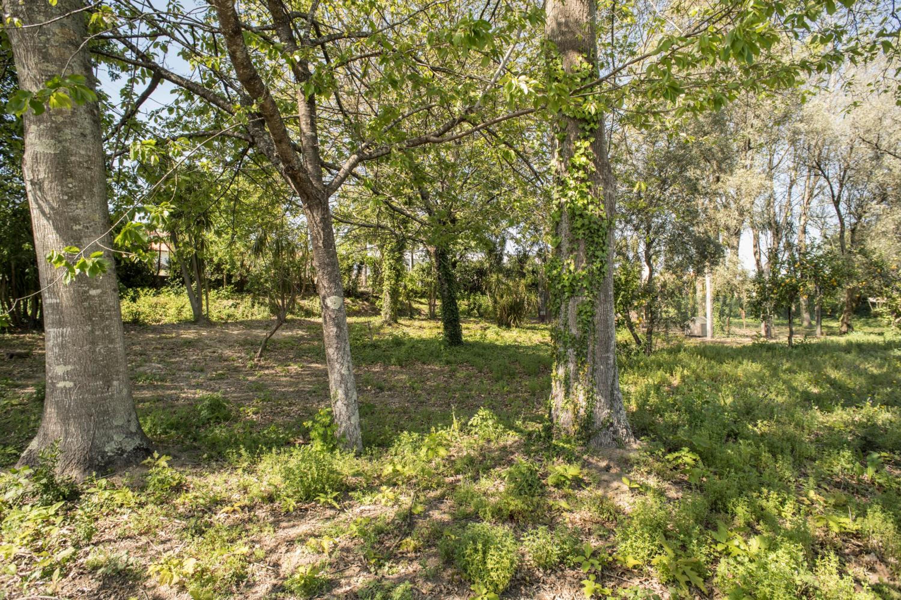 Quinta Do Pomar Pomar Farm