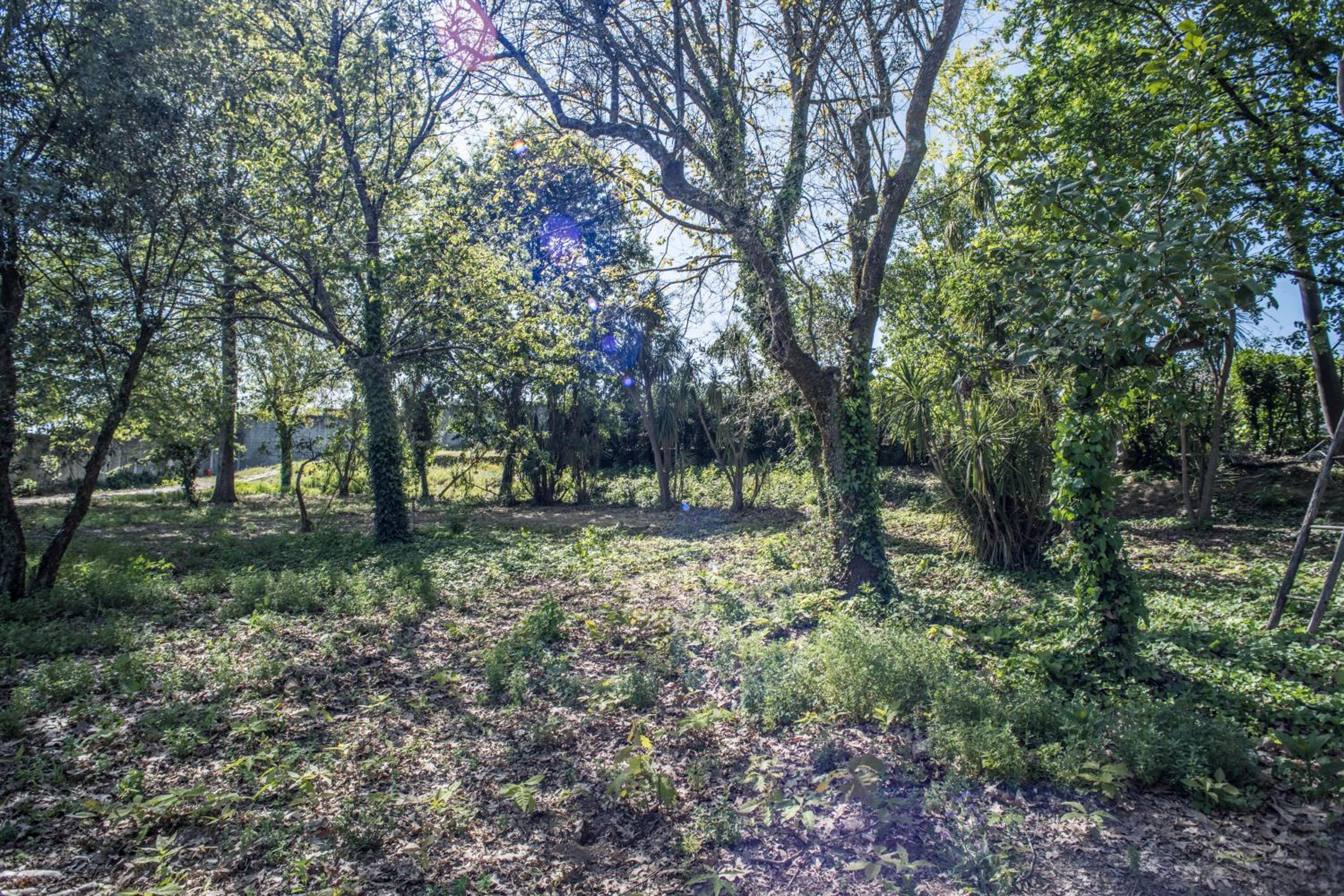 Quinta Do Pomar Pomar Farm