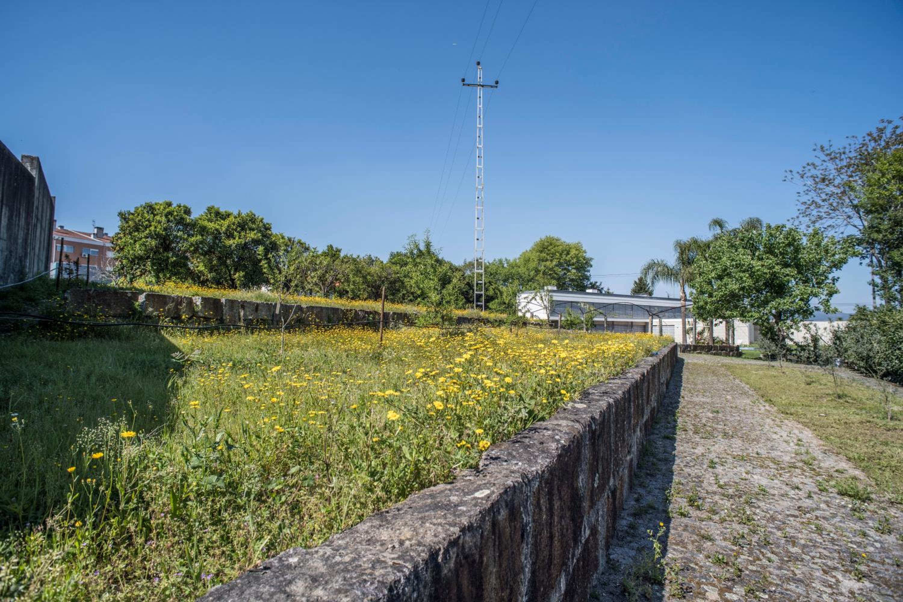 Quinta Do Pomar Pomar Farm