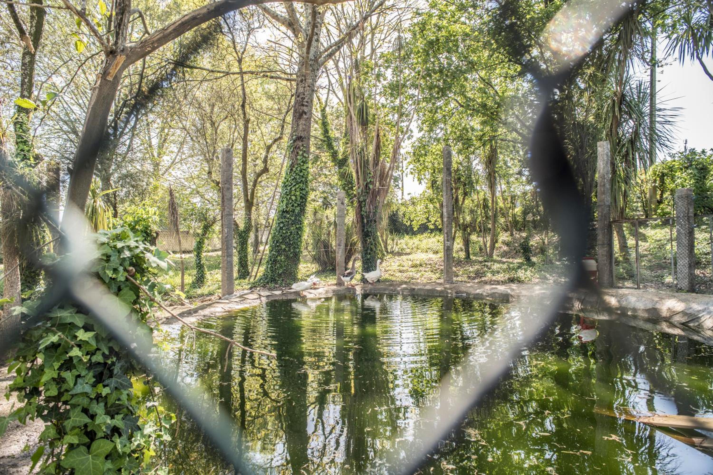 Quinta Do Pomar Pomar Farm