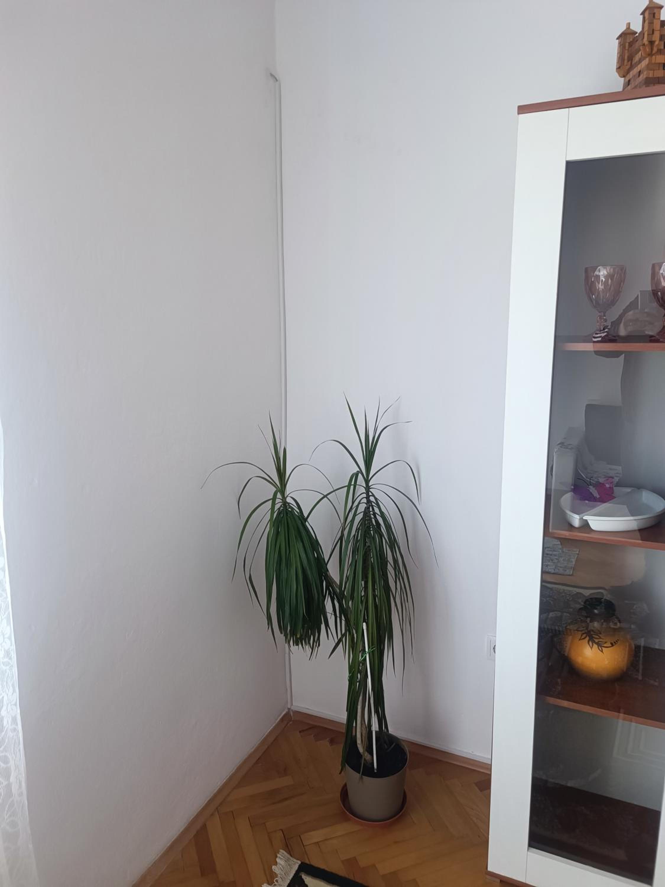 Apartman Stipa