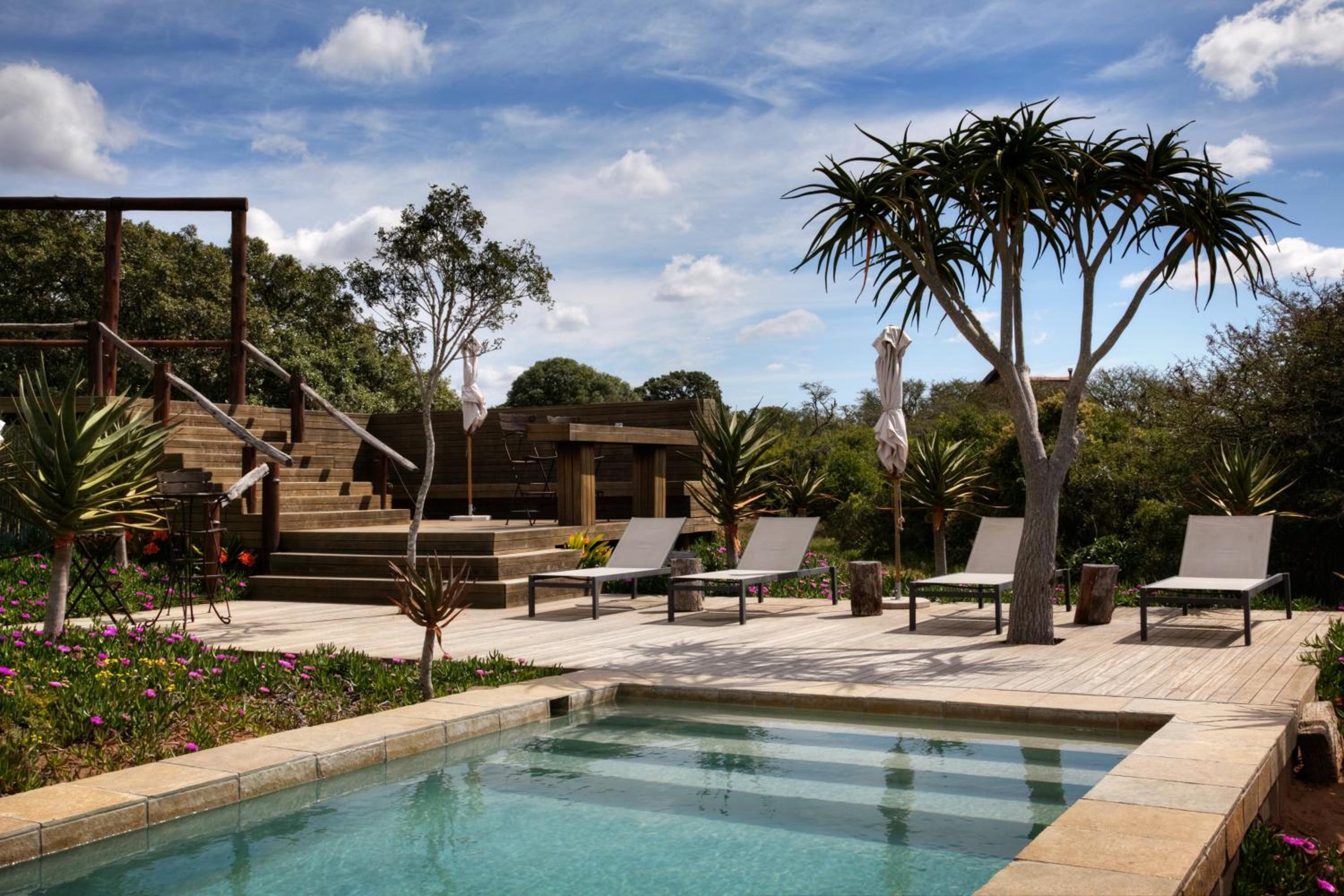Bush Lodge – Amakhala Game Reserve view 4