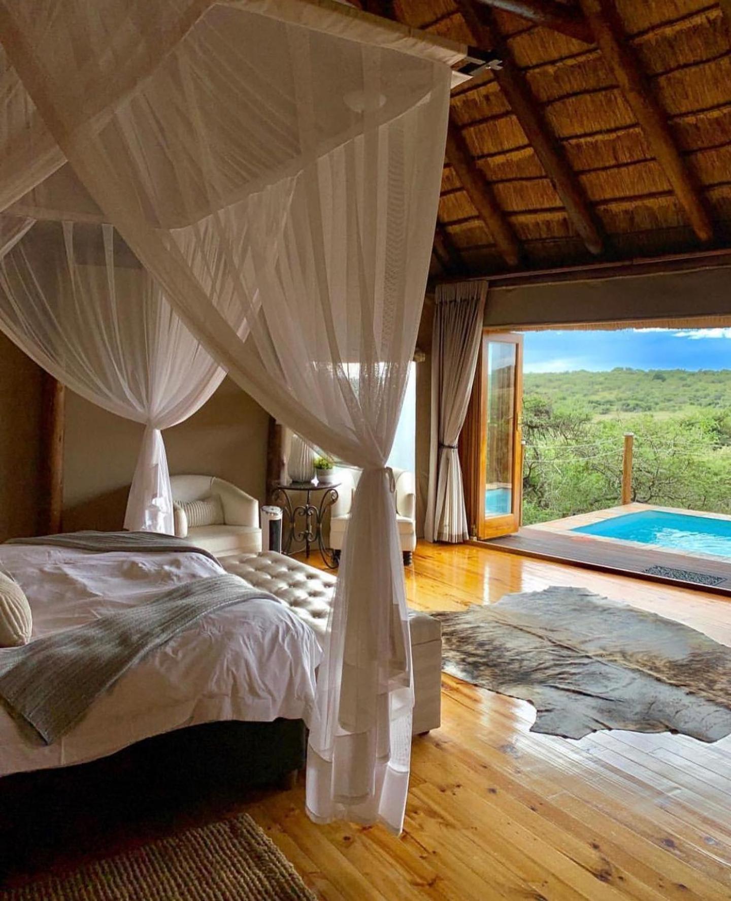 Bush Lodge – Amakhala Game Reserve view 3