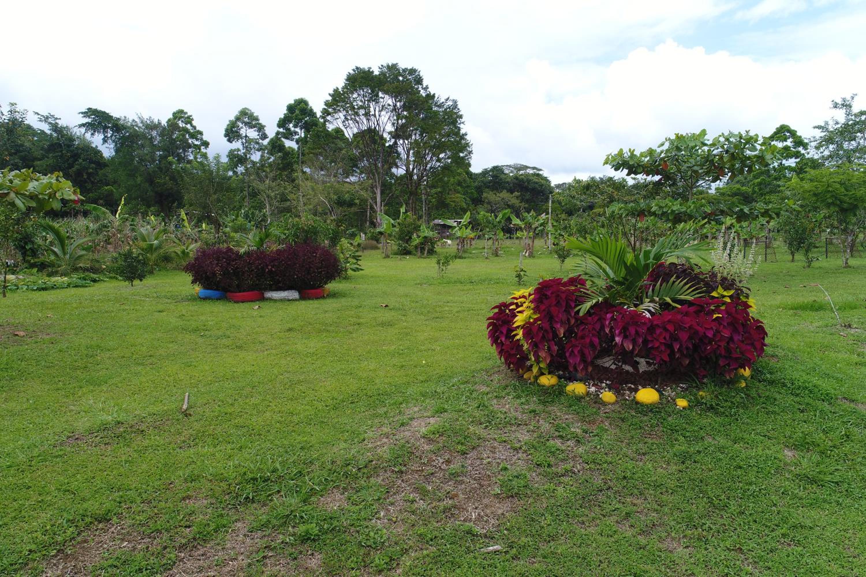 HOPE GARDEN, SARAPIQUÍ, We connect you with the Sarapiquí tropical forest