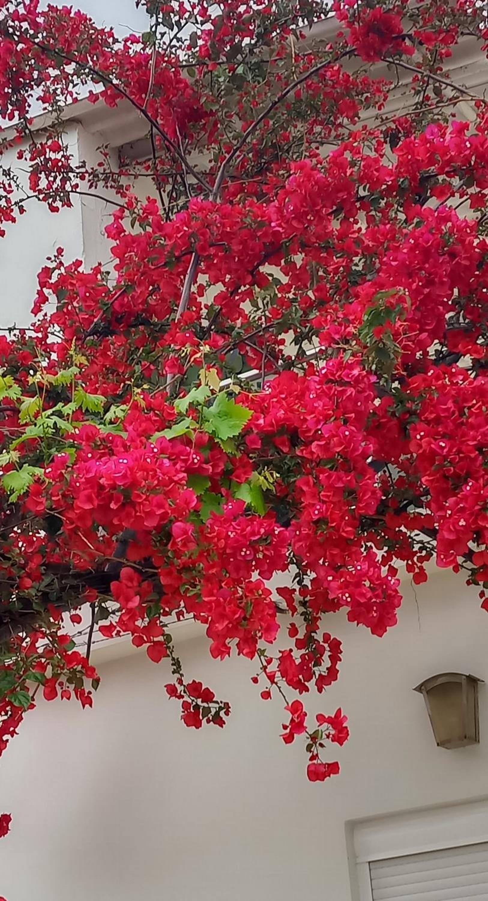 Stamatias Home, fully equipped cottage 5 minutes from the sea view 4