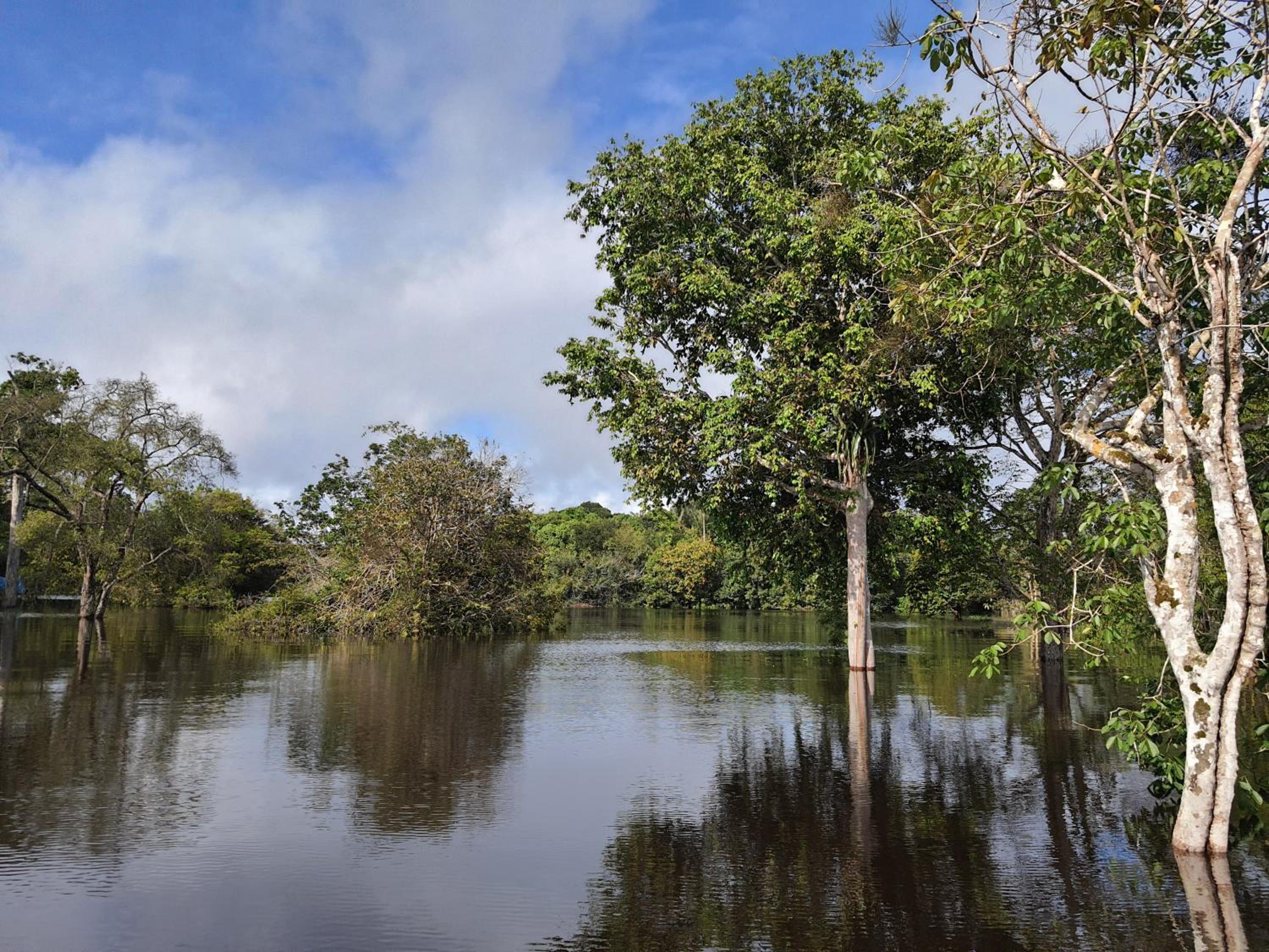 VARANDA DO RIO NEGRO