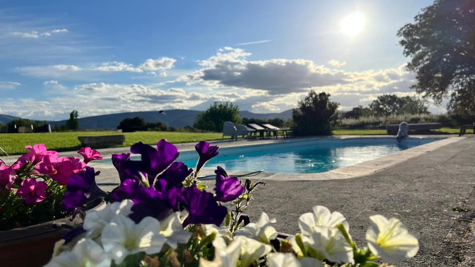 casa rural de un artista en plena naturaleza piscina y parque de esculturas en villarcayo - Image 3