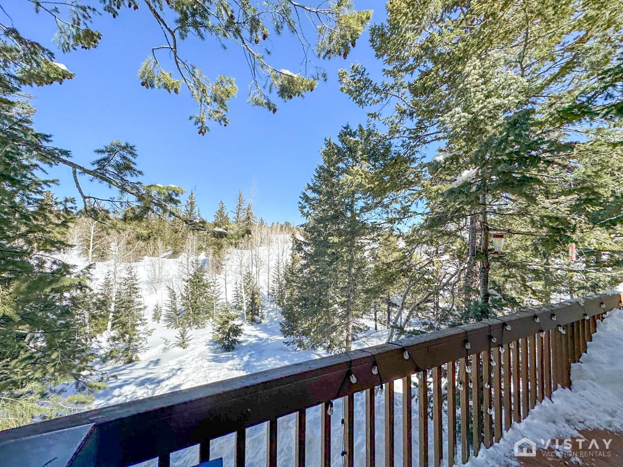 Woodchuck Cabin