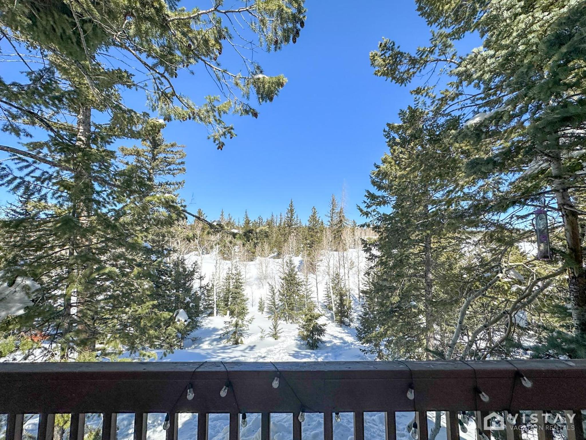 Woodchuck Cabin