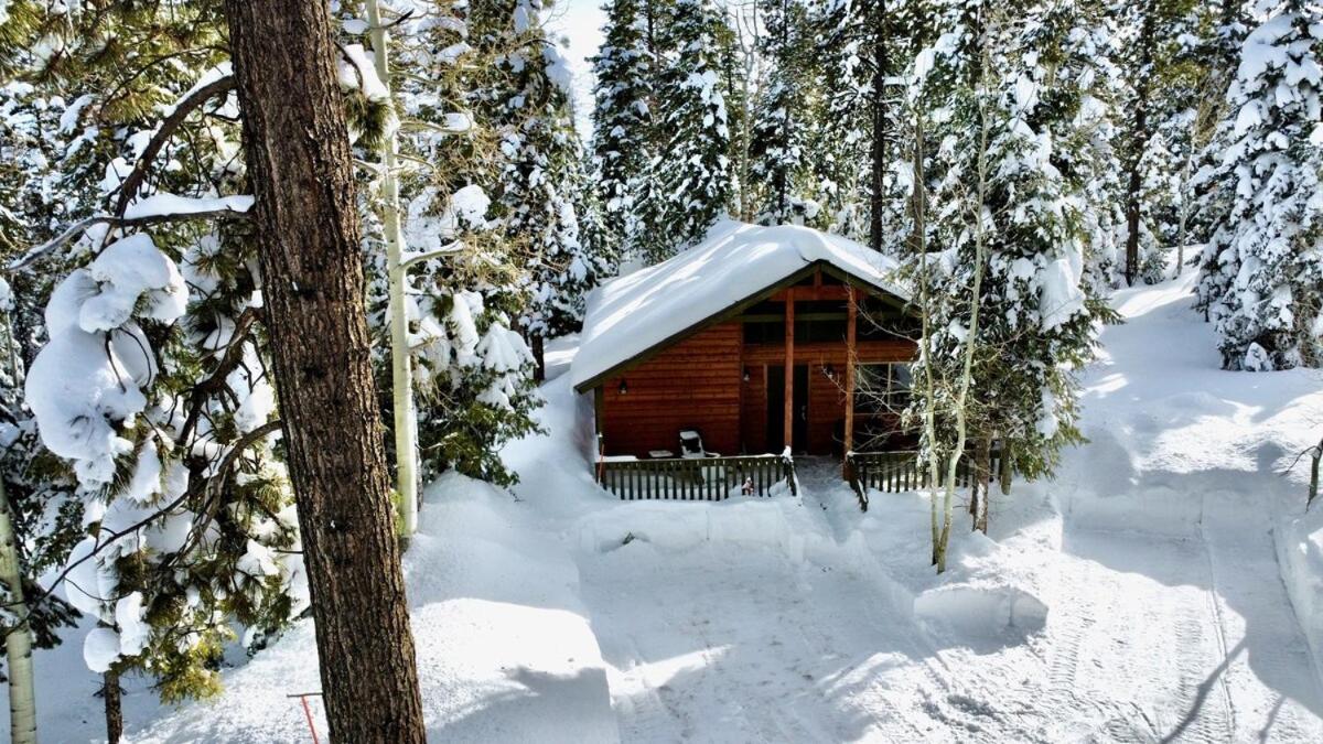 Lovely Log Cabin With Fire Pit!