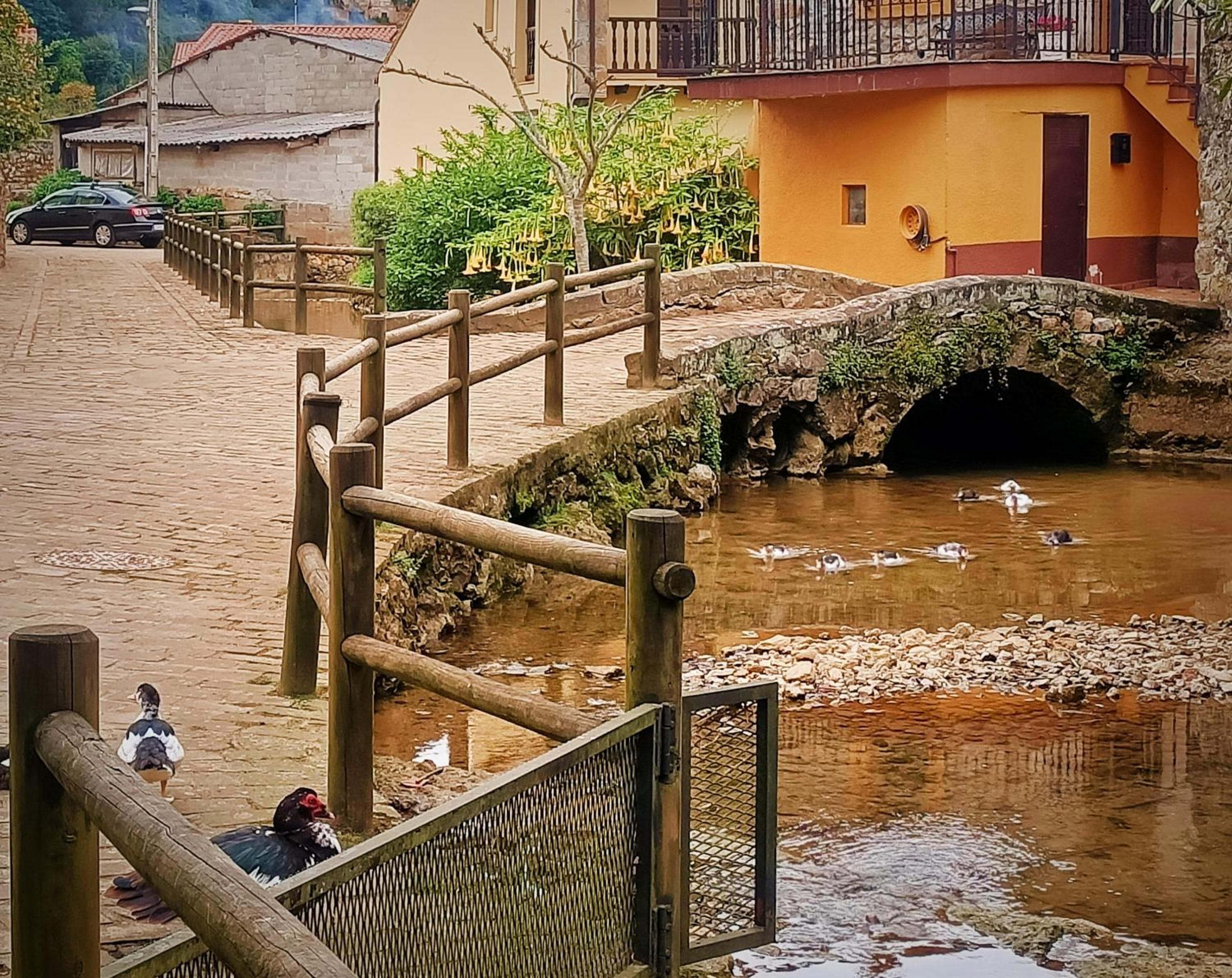 Apartamentos la buganvilla Novales