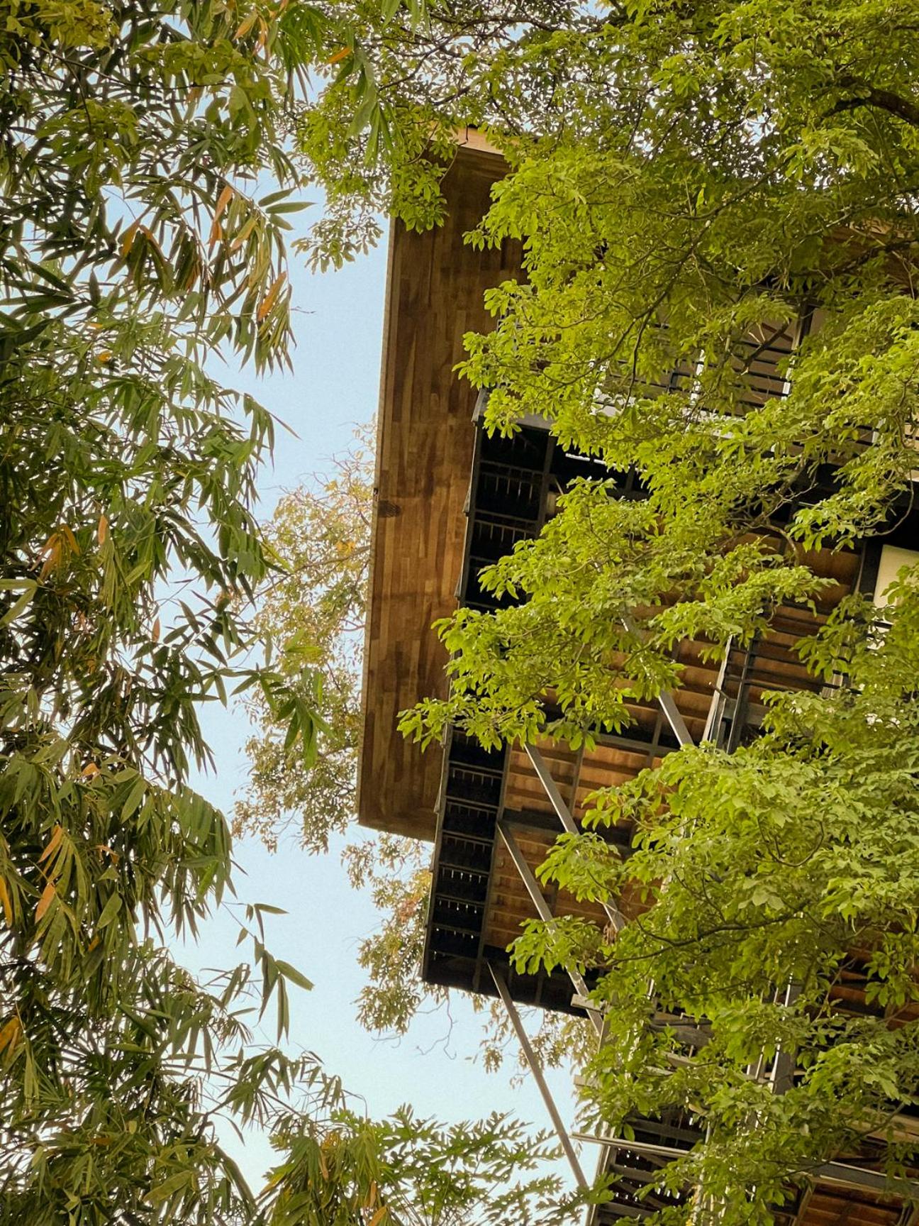 Ocean View Modern Jungle Vacation Home - Walking Distance to Playa Mal Pais