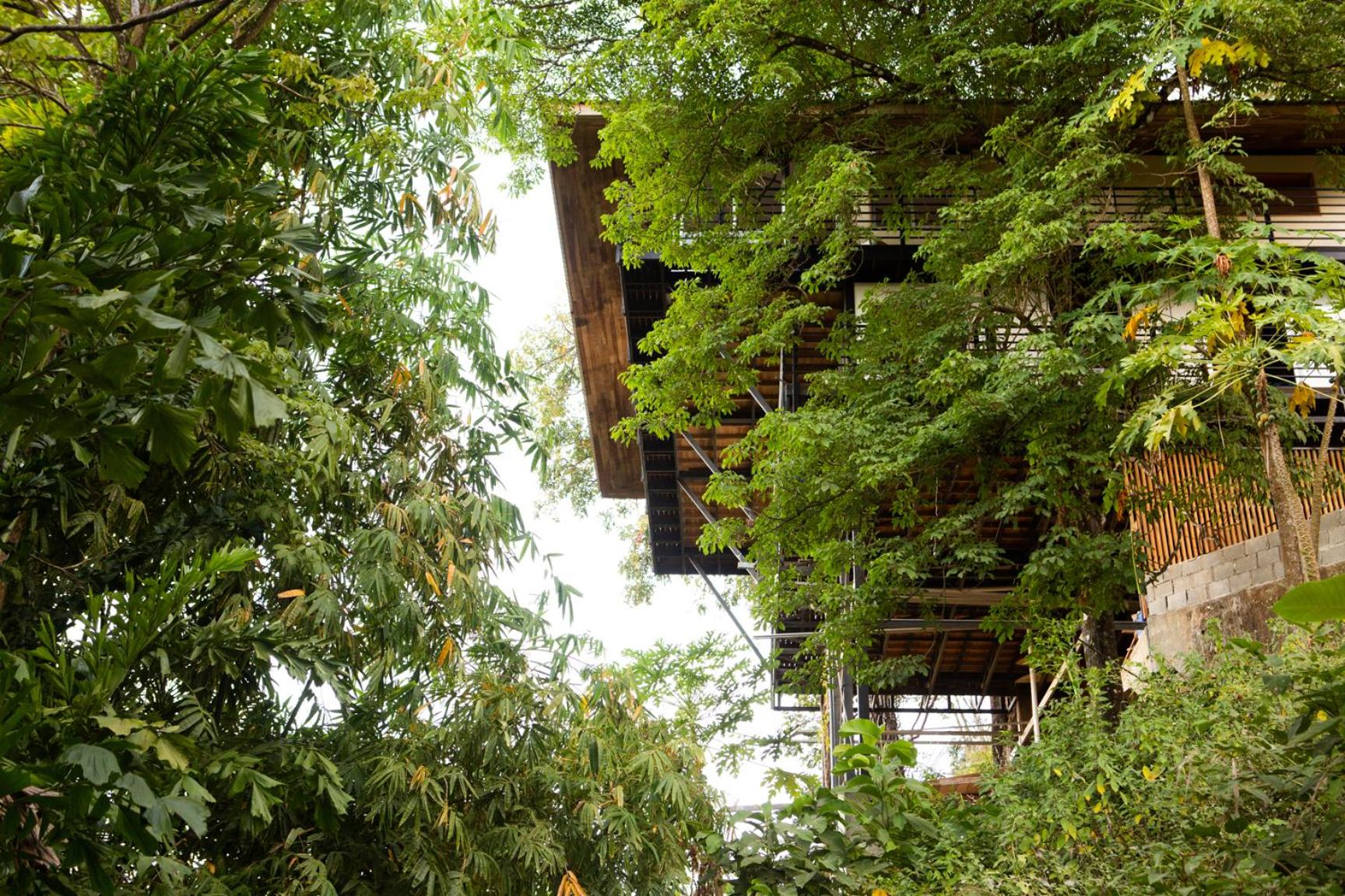 Ocean View Modern Jungle Vacation Home - Walking Distance to Playa Mal Pais