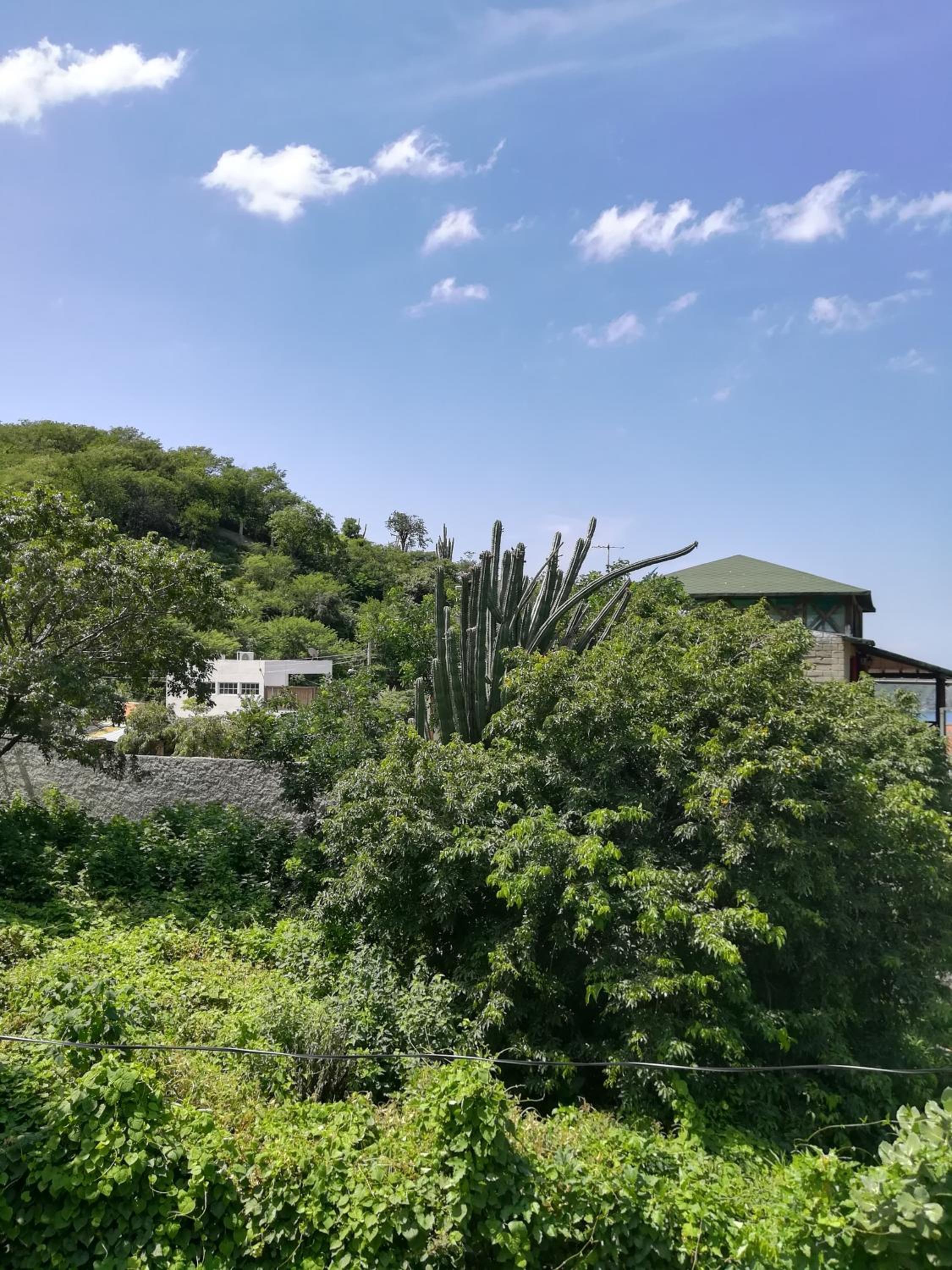 Casa Italia Guest House view 4