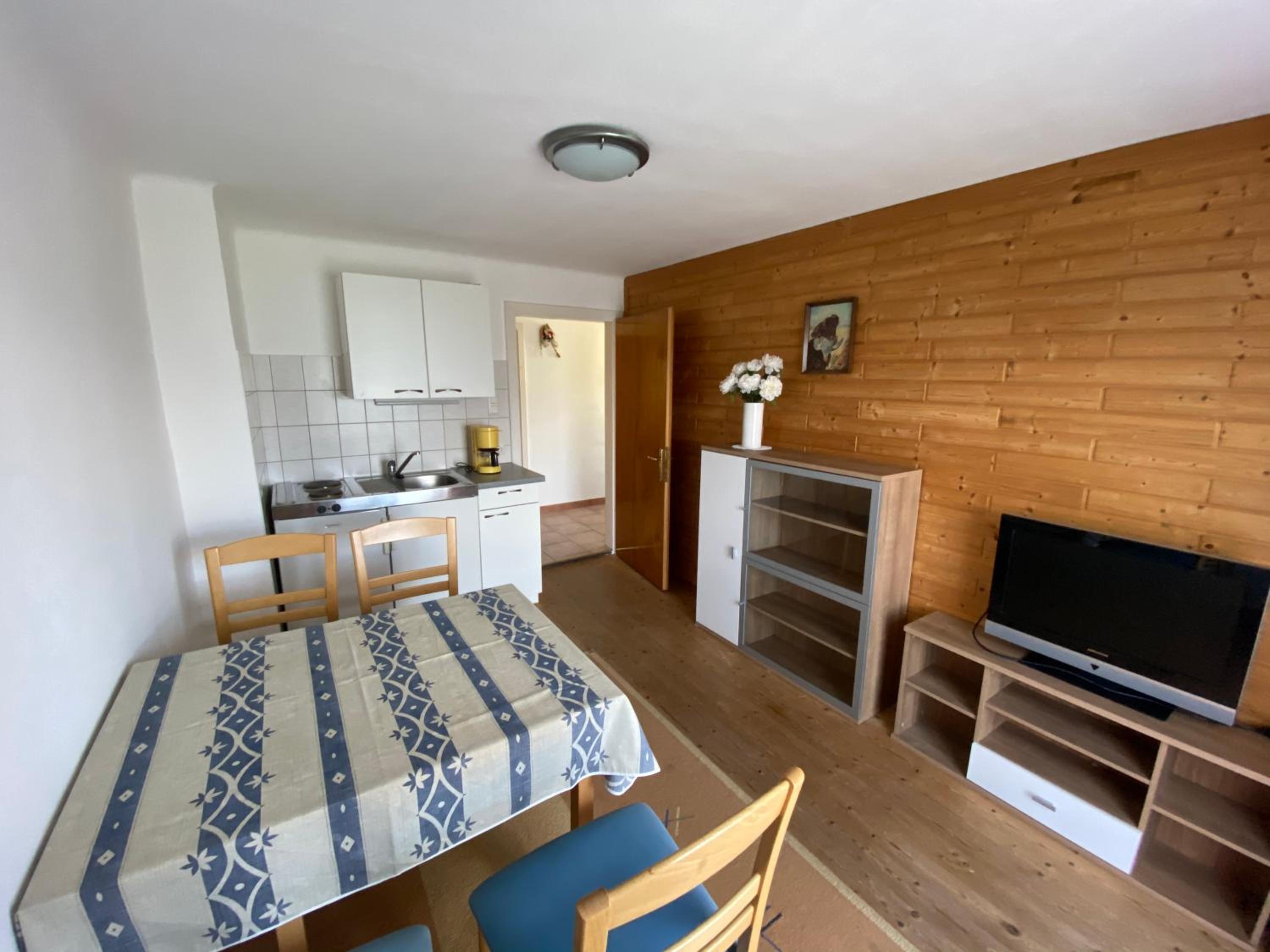 moderne Apartments am Attersee Dachsteinblick - ruhige Lage mit traumhaften Blick