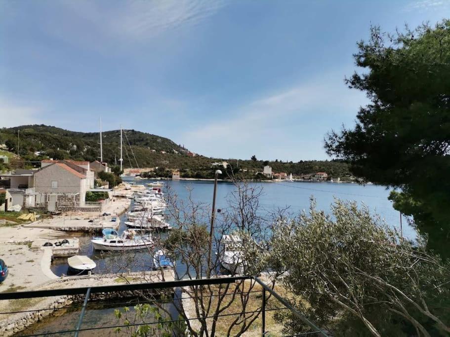 Apartman Janska