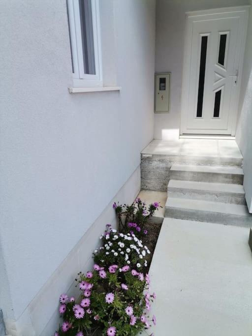 Apartman Janska