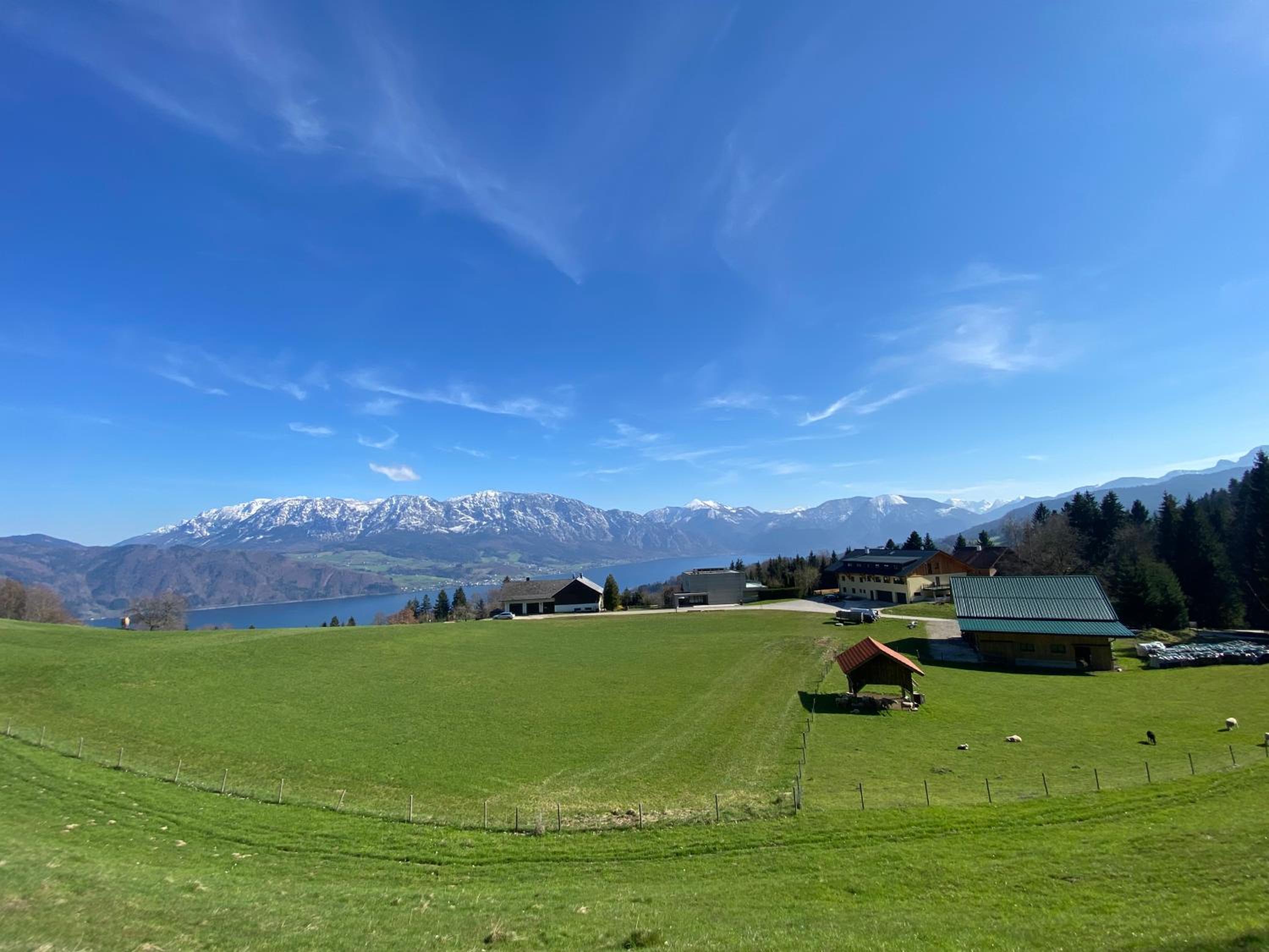 moderne Apartments am Attersee Dachsteinblick - ruhige Lage mit traumhaften Blick
