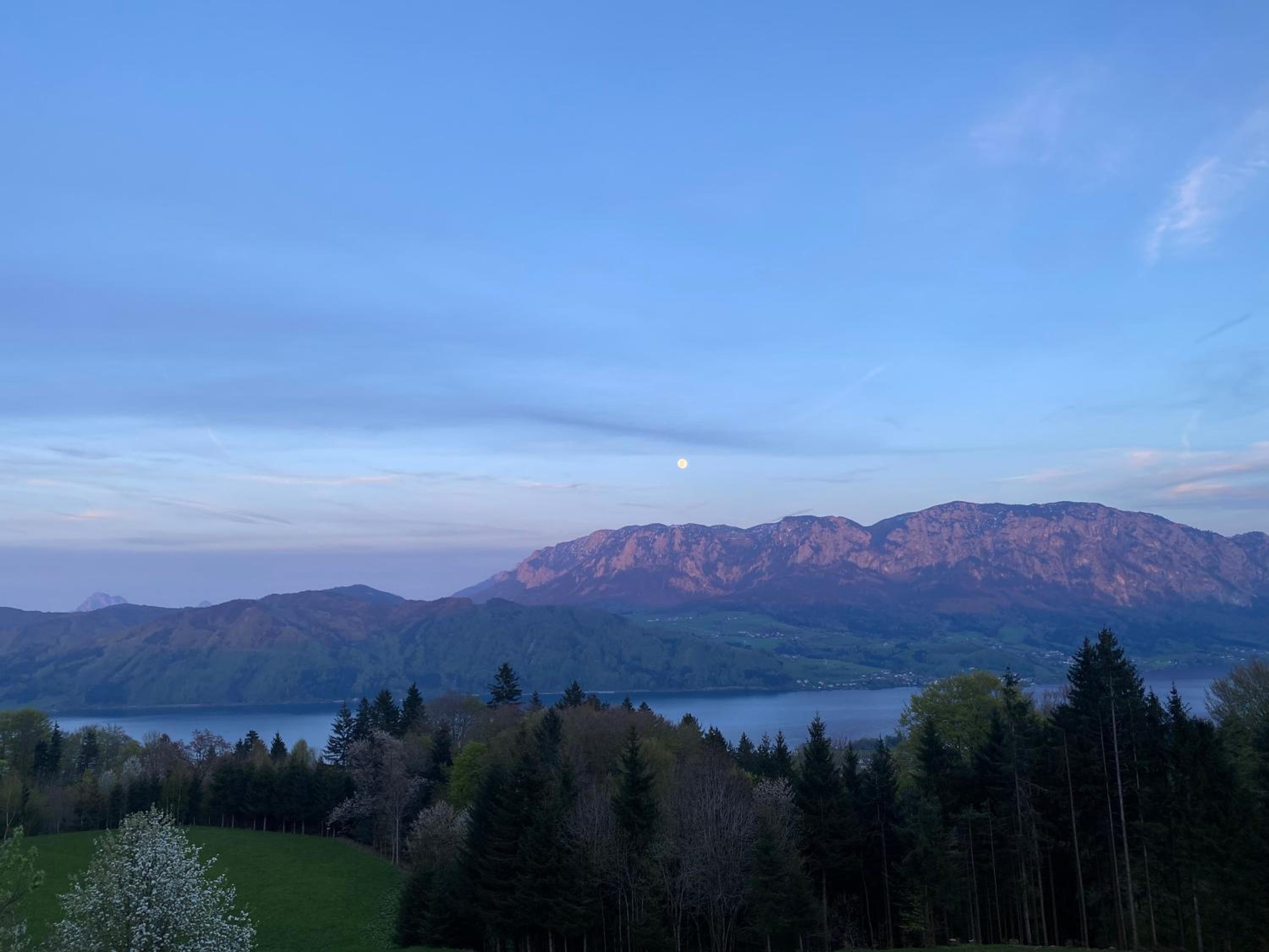 moderne Apartments am Attersee Dachsteinblick - ruhige Lage mit traumhaften Blick