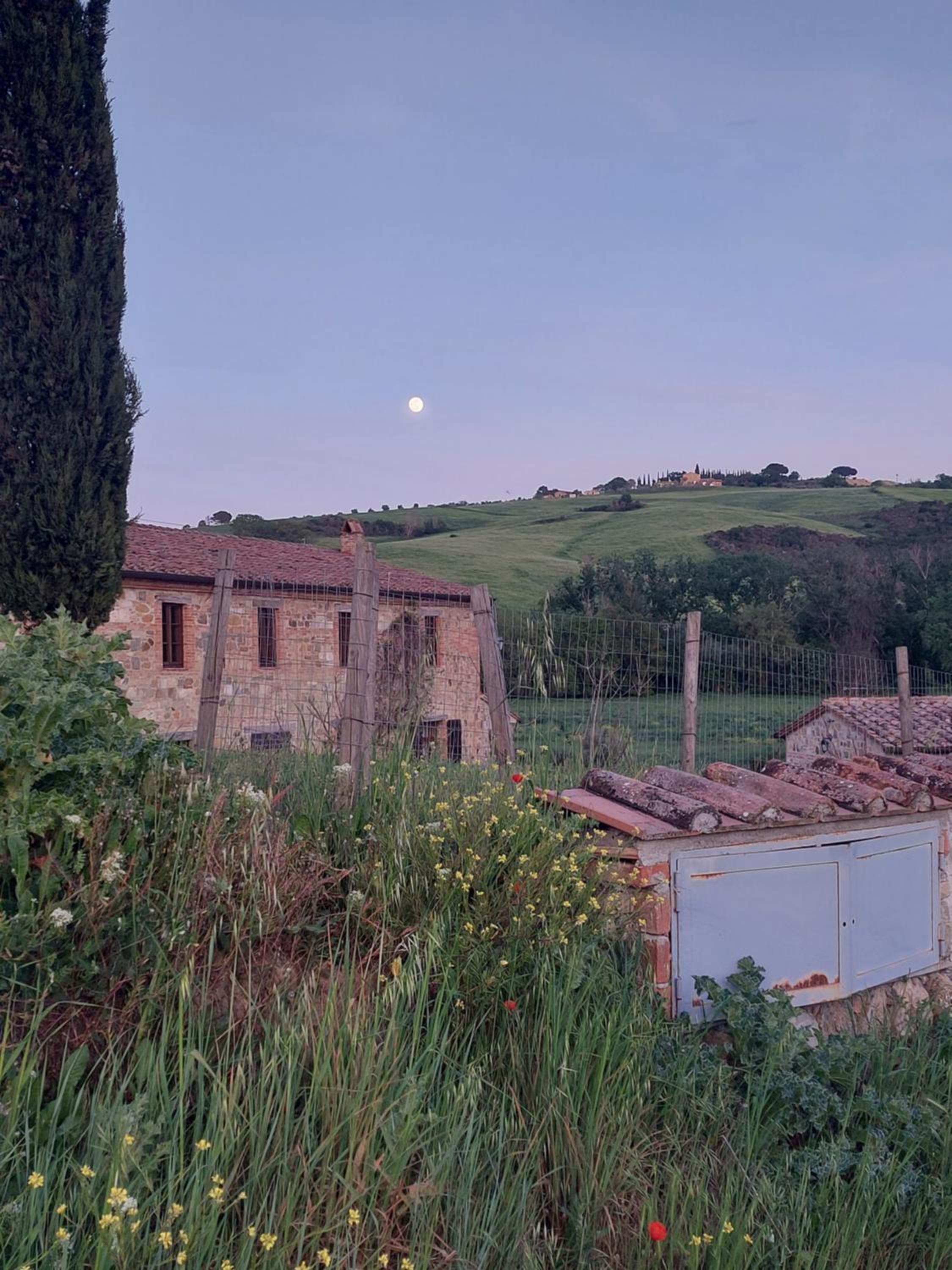Photo 30