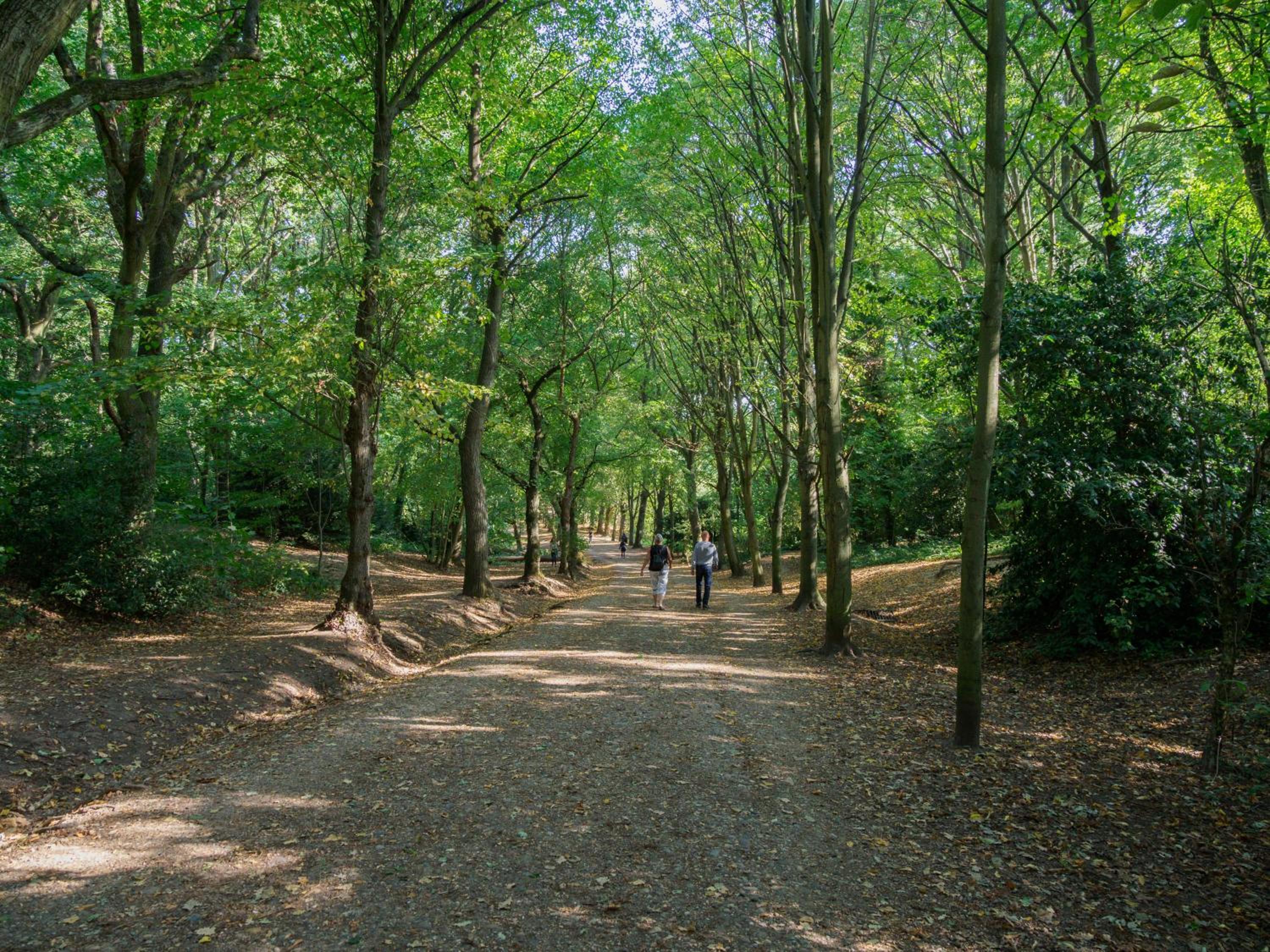Bright West Hampstead Retreat