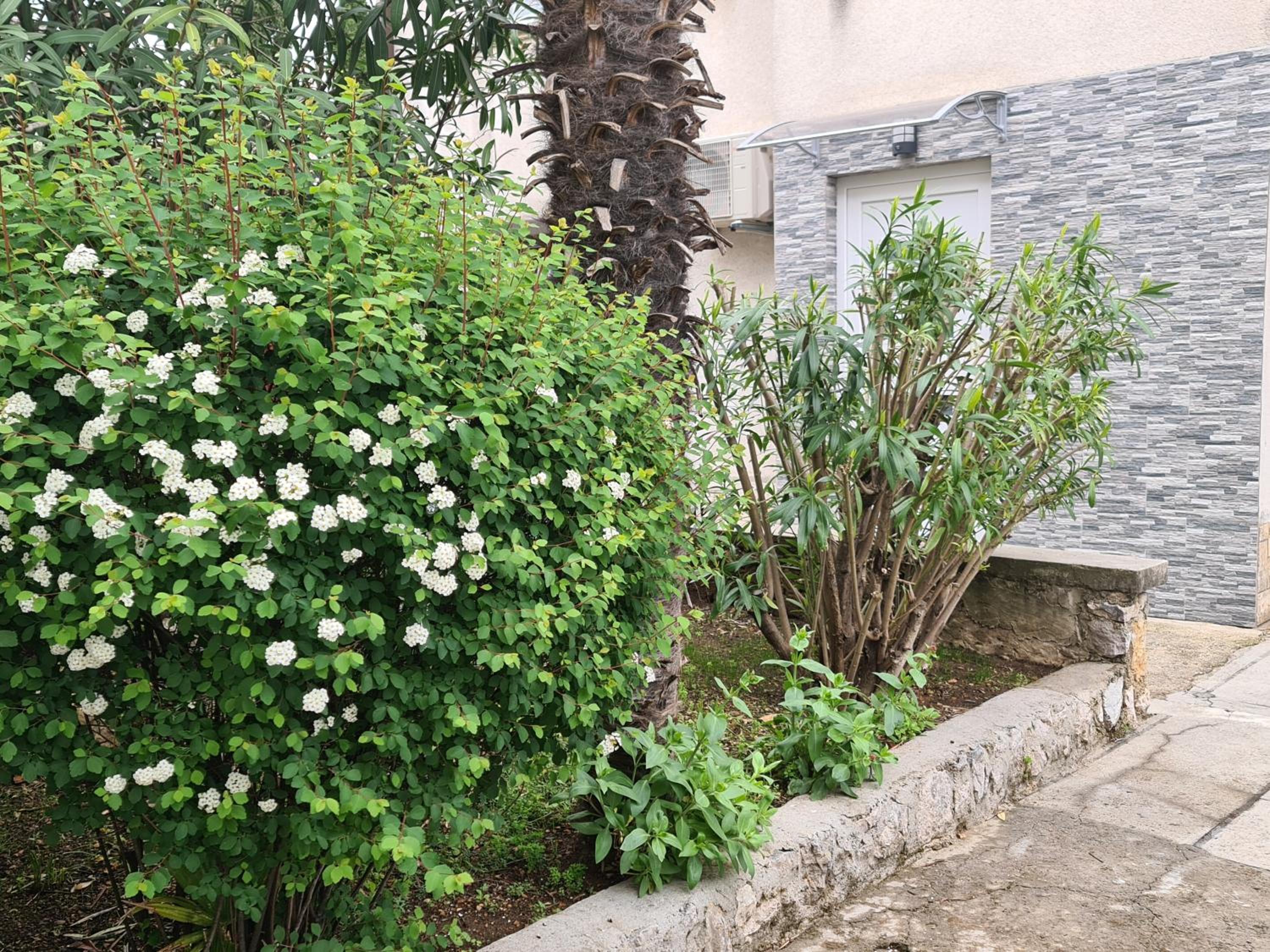 Apartman Nika