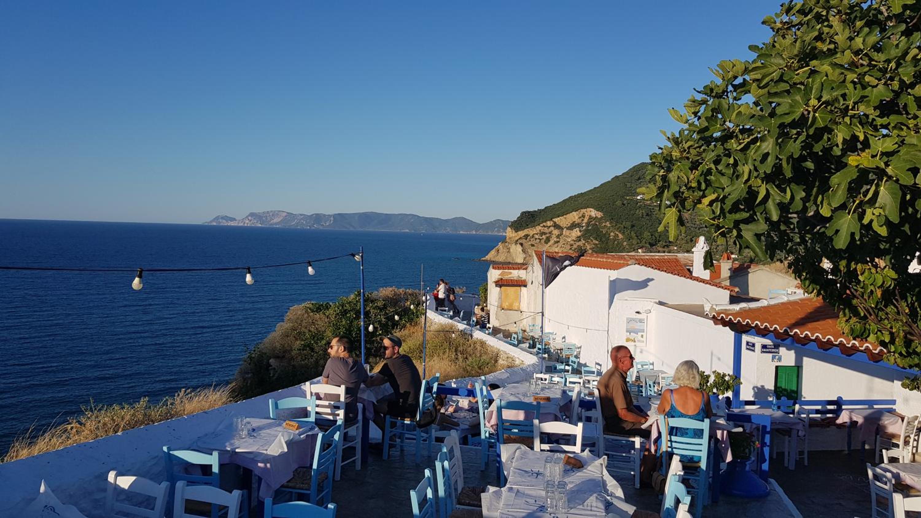 Peppermint Bay