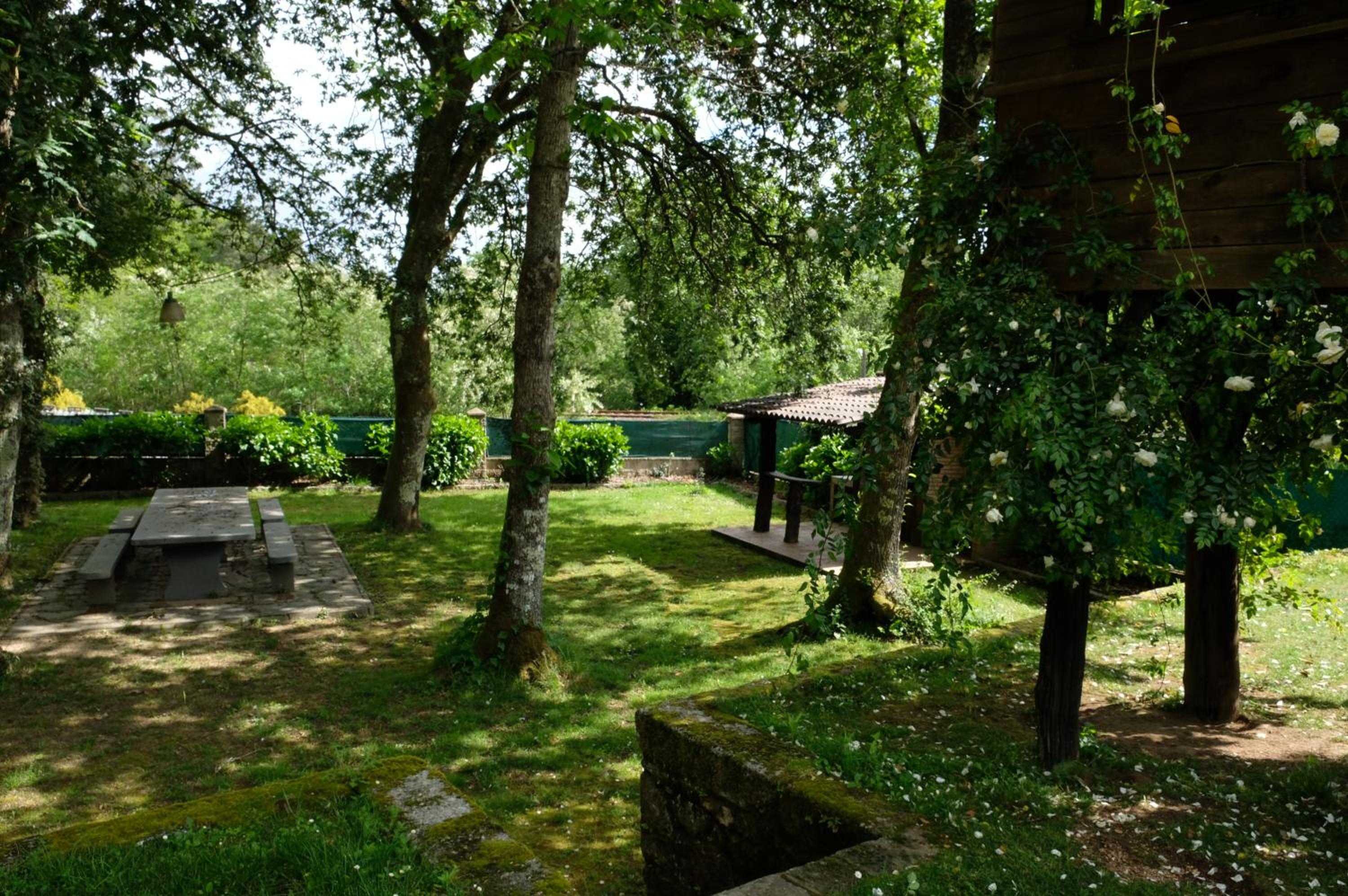 Photo 45