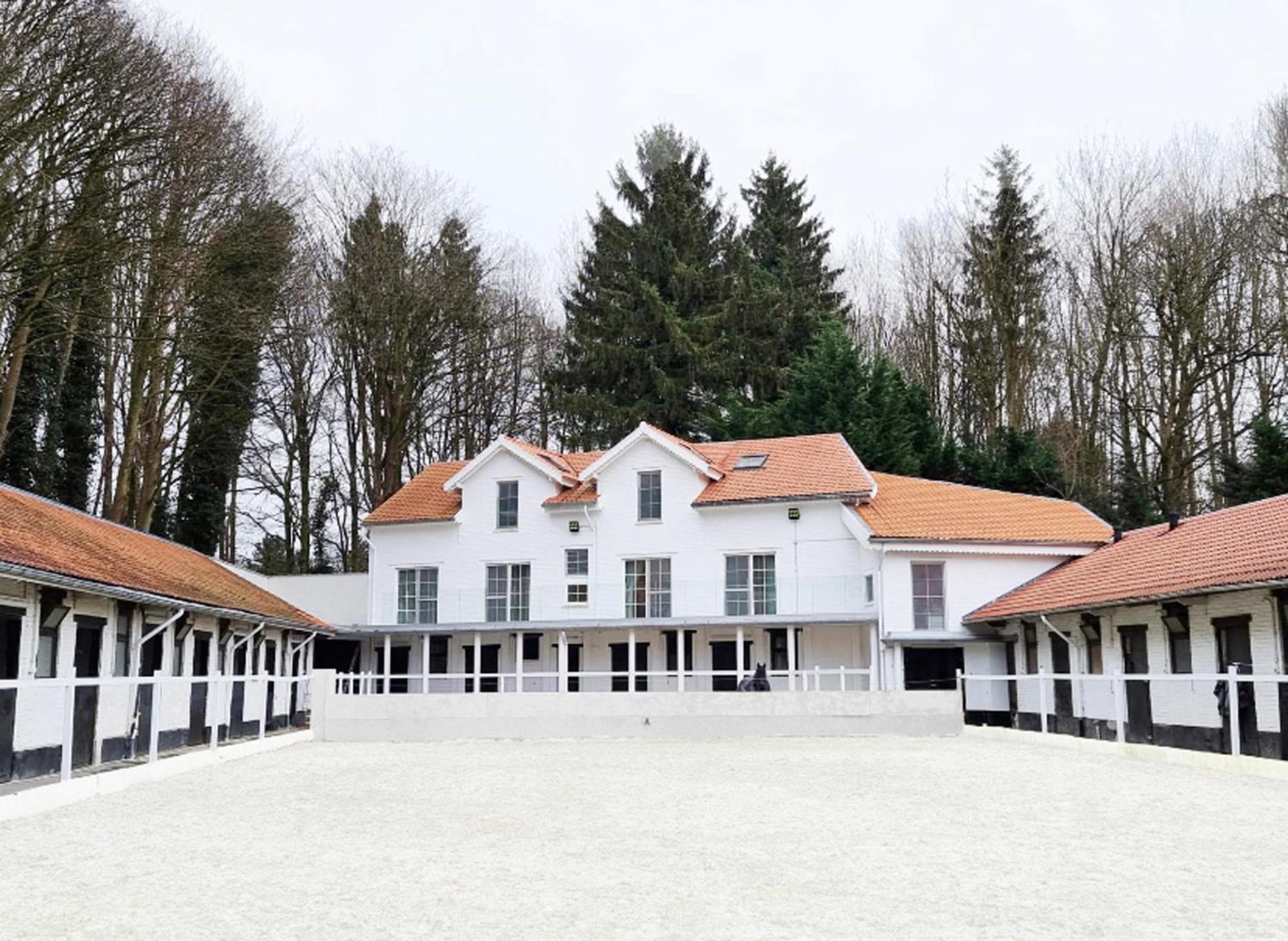 Royal Horses