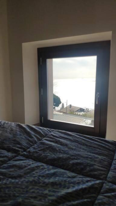 Photo 51