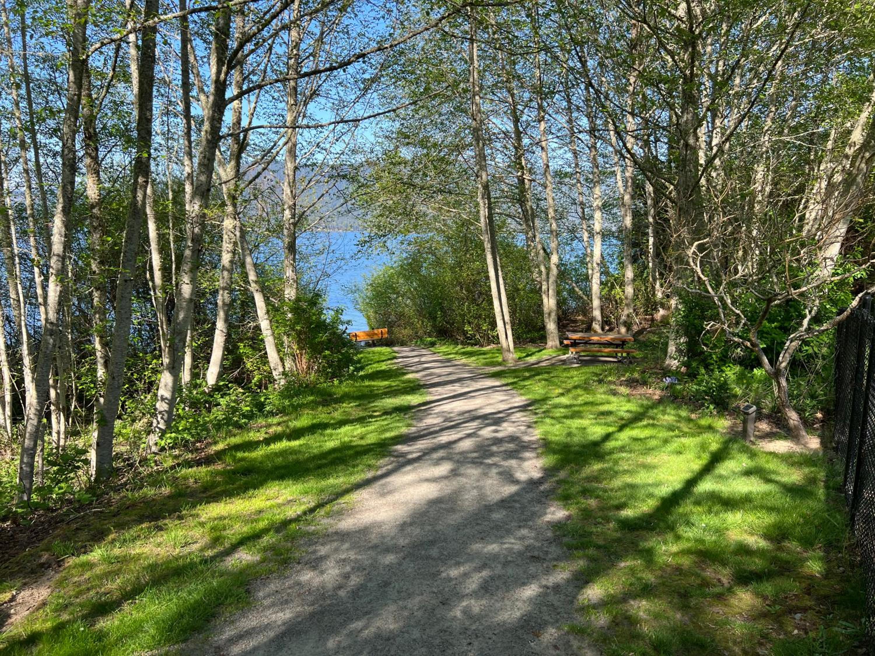 Sea and Cedar Retreat-a home in a tranquil setting