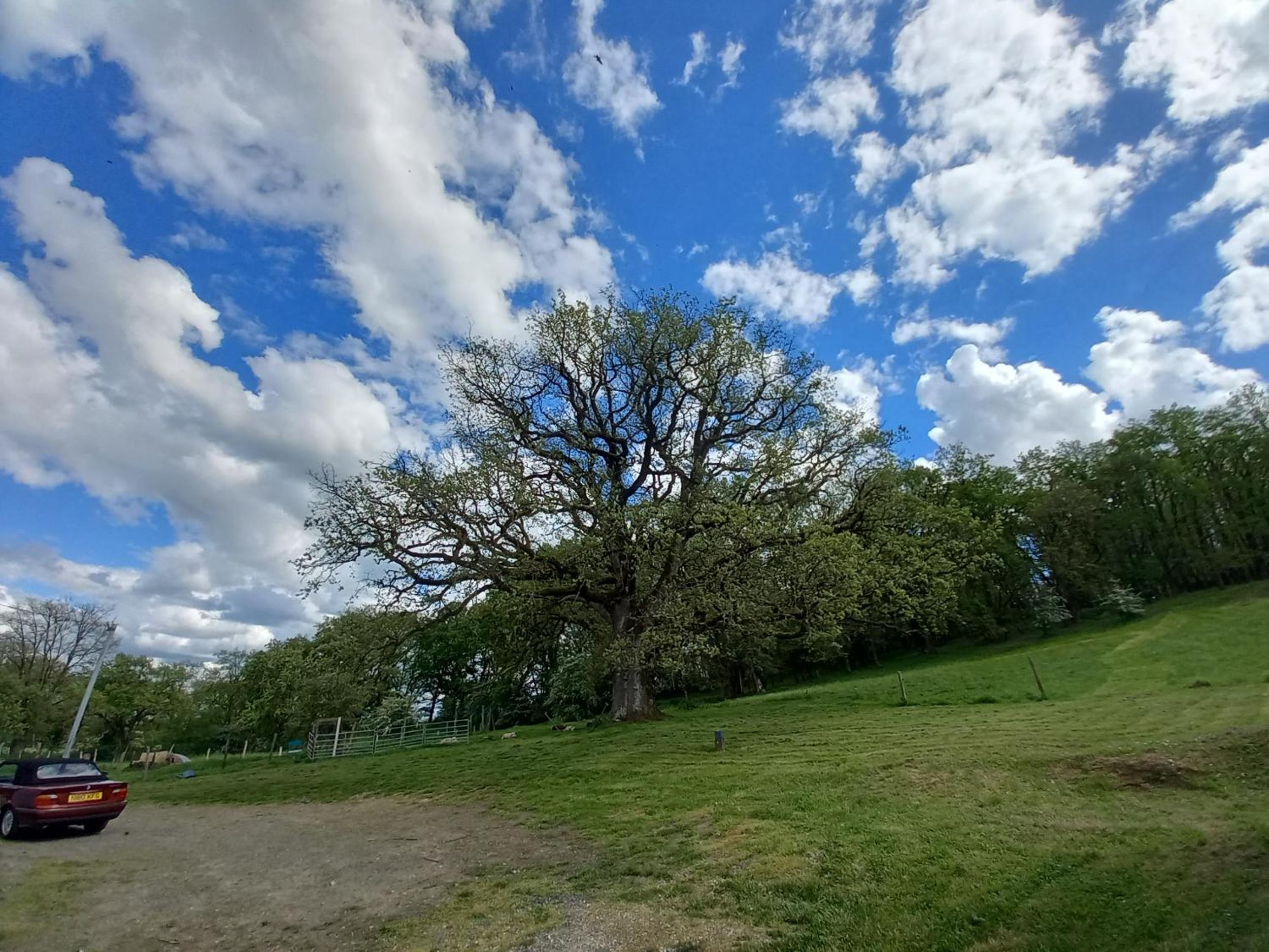 Photo 16