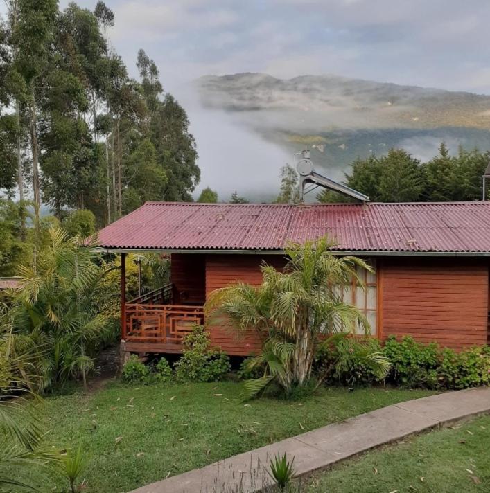Chontaqui Eco-Lodge view 5